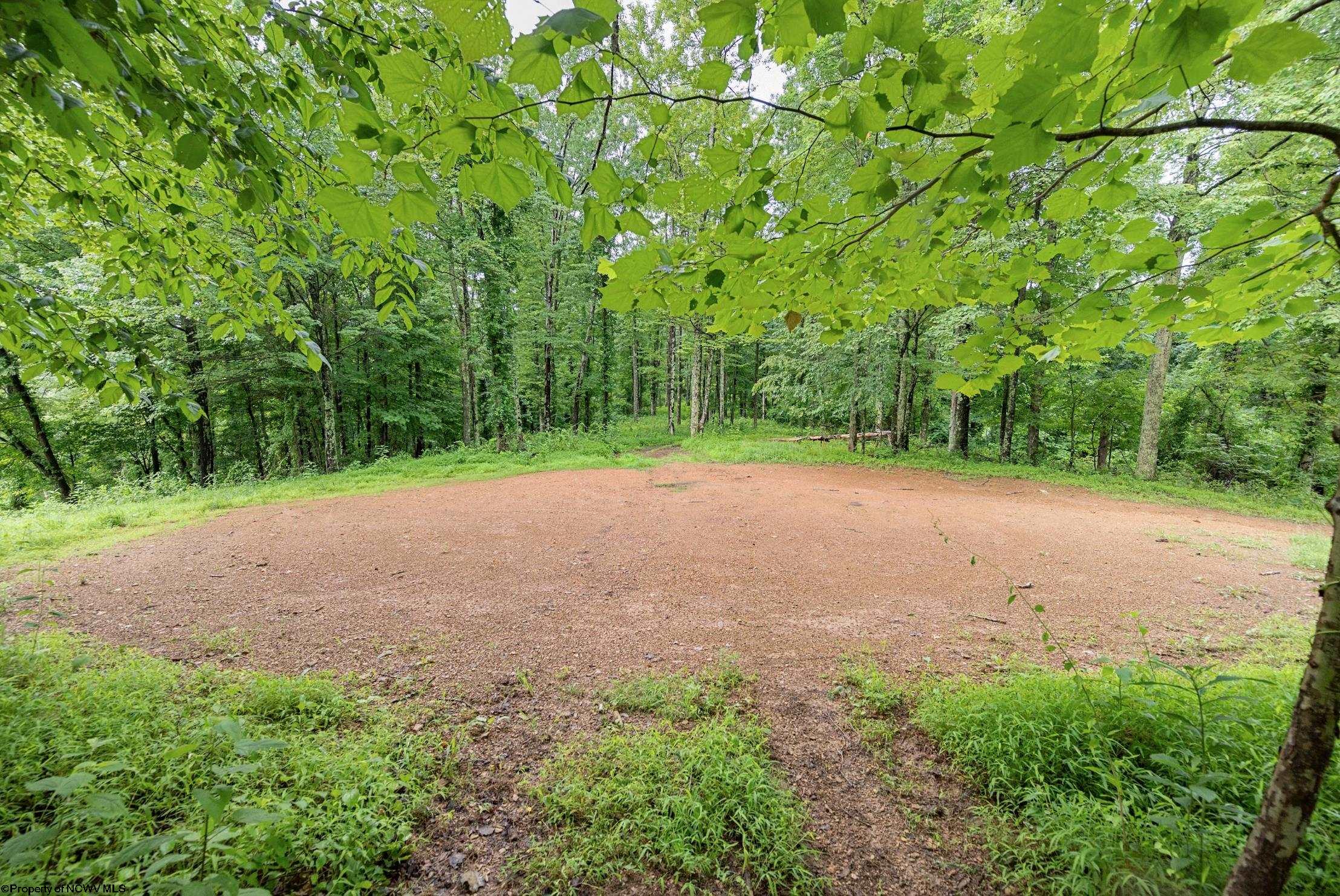 Gallery Image 7