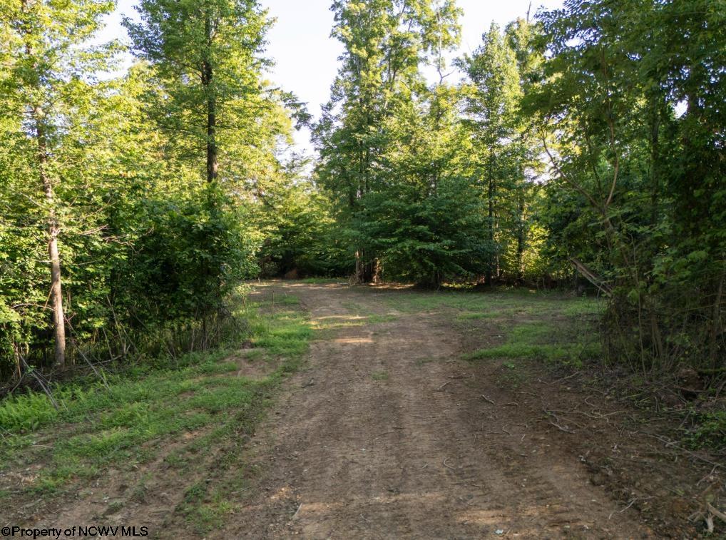 Gallery Image 15
