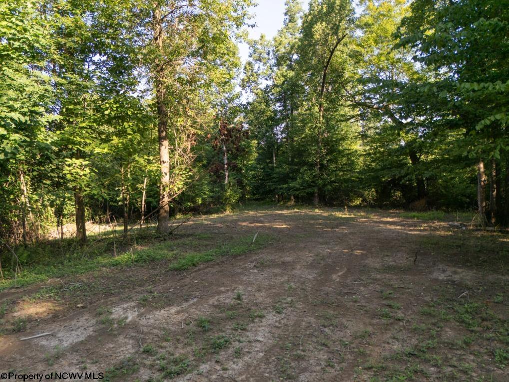 Gallery Image 16