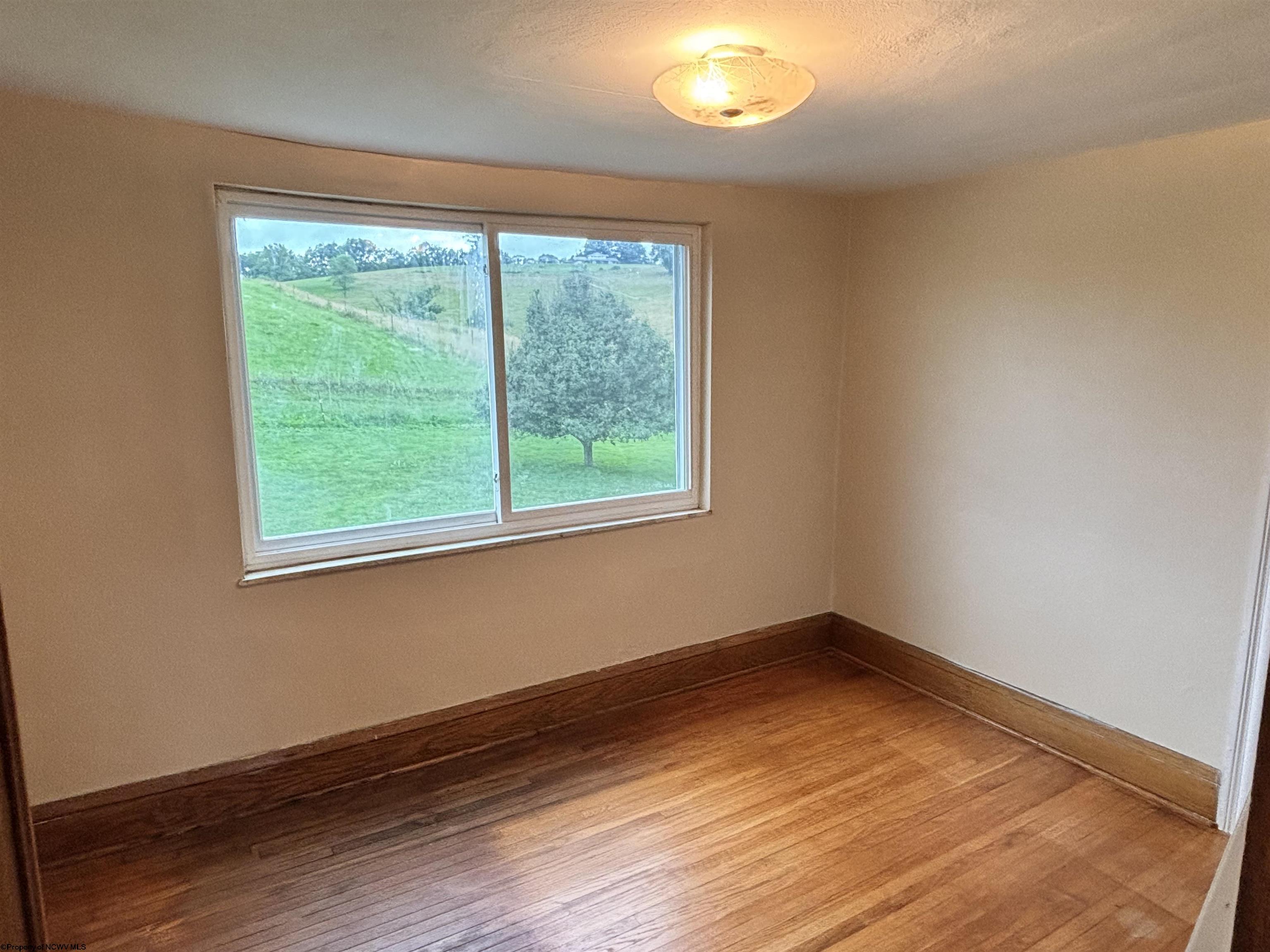 Gallery Image 19