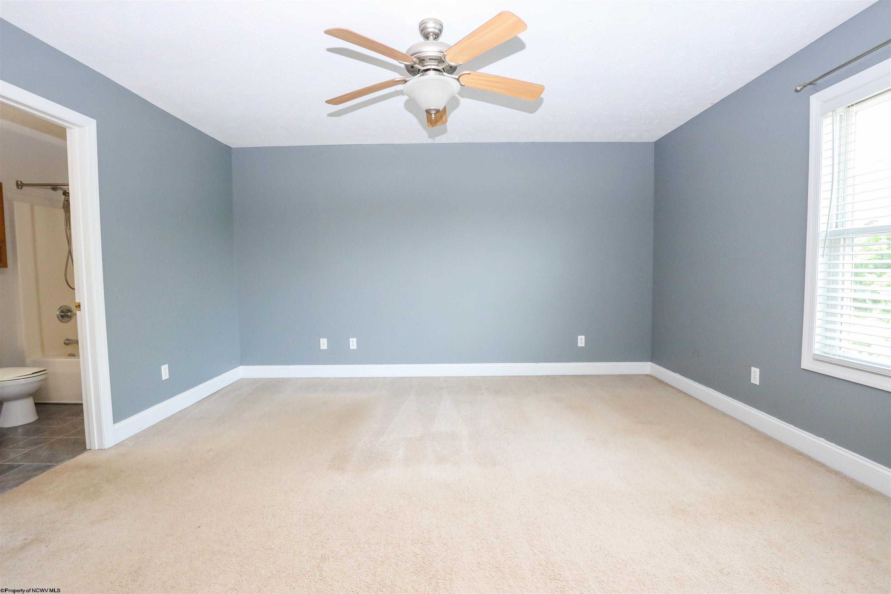 Gallery Image 17