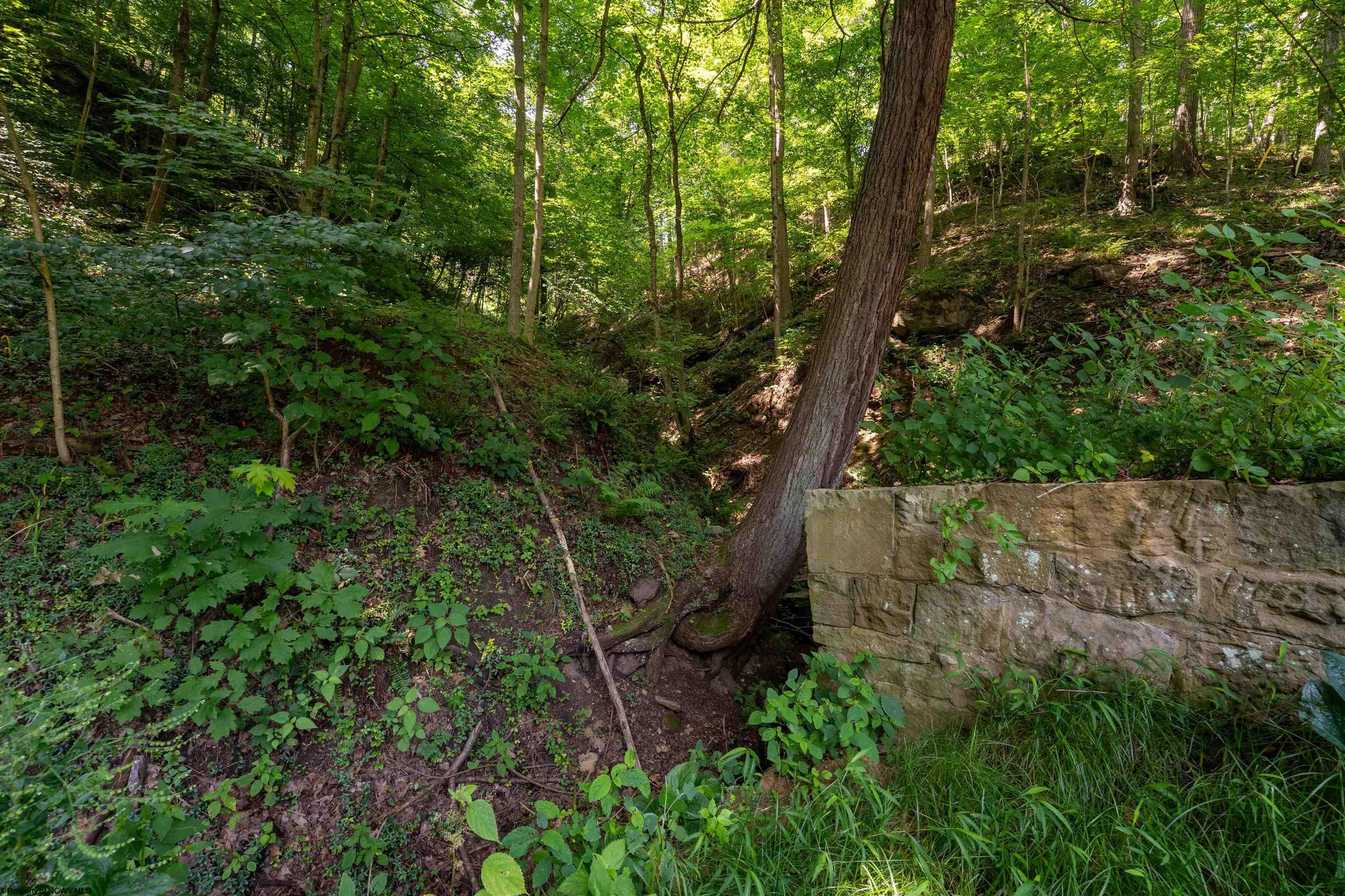 Gallery Image 14