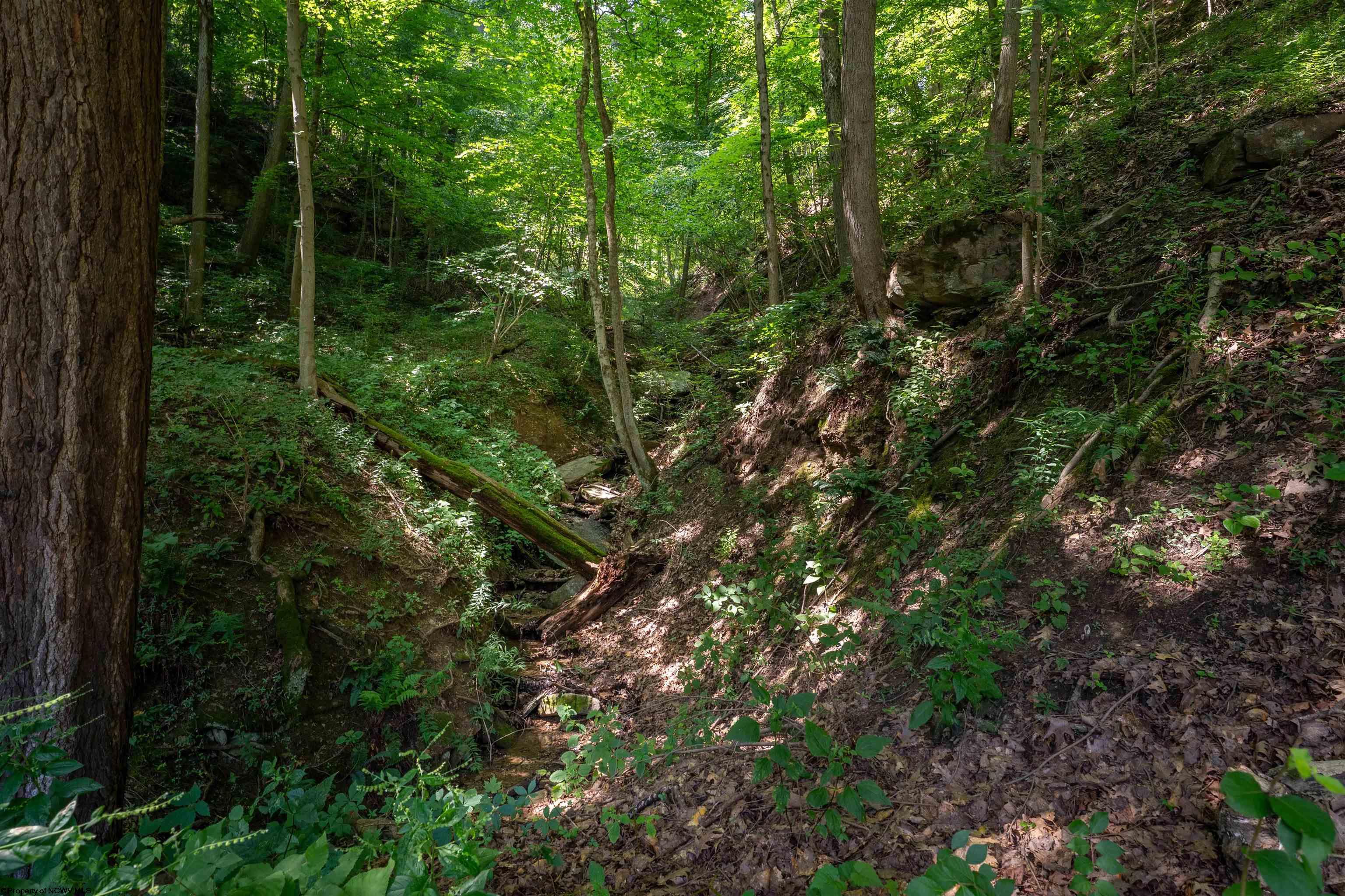 Gallery Image 15