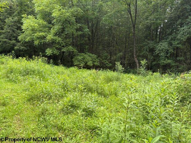 Gallery Image 17