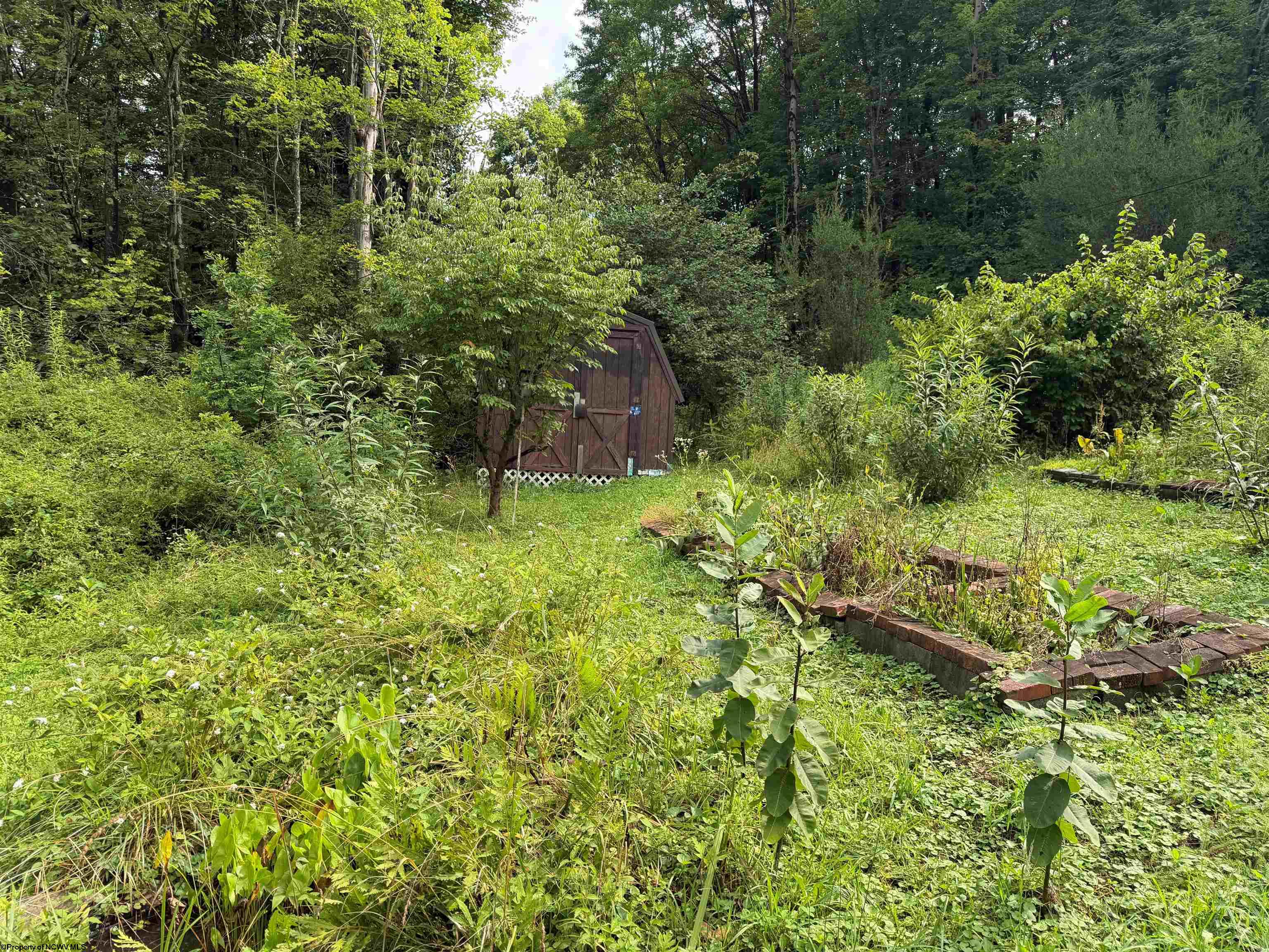 Gallery Image 18