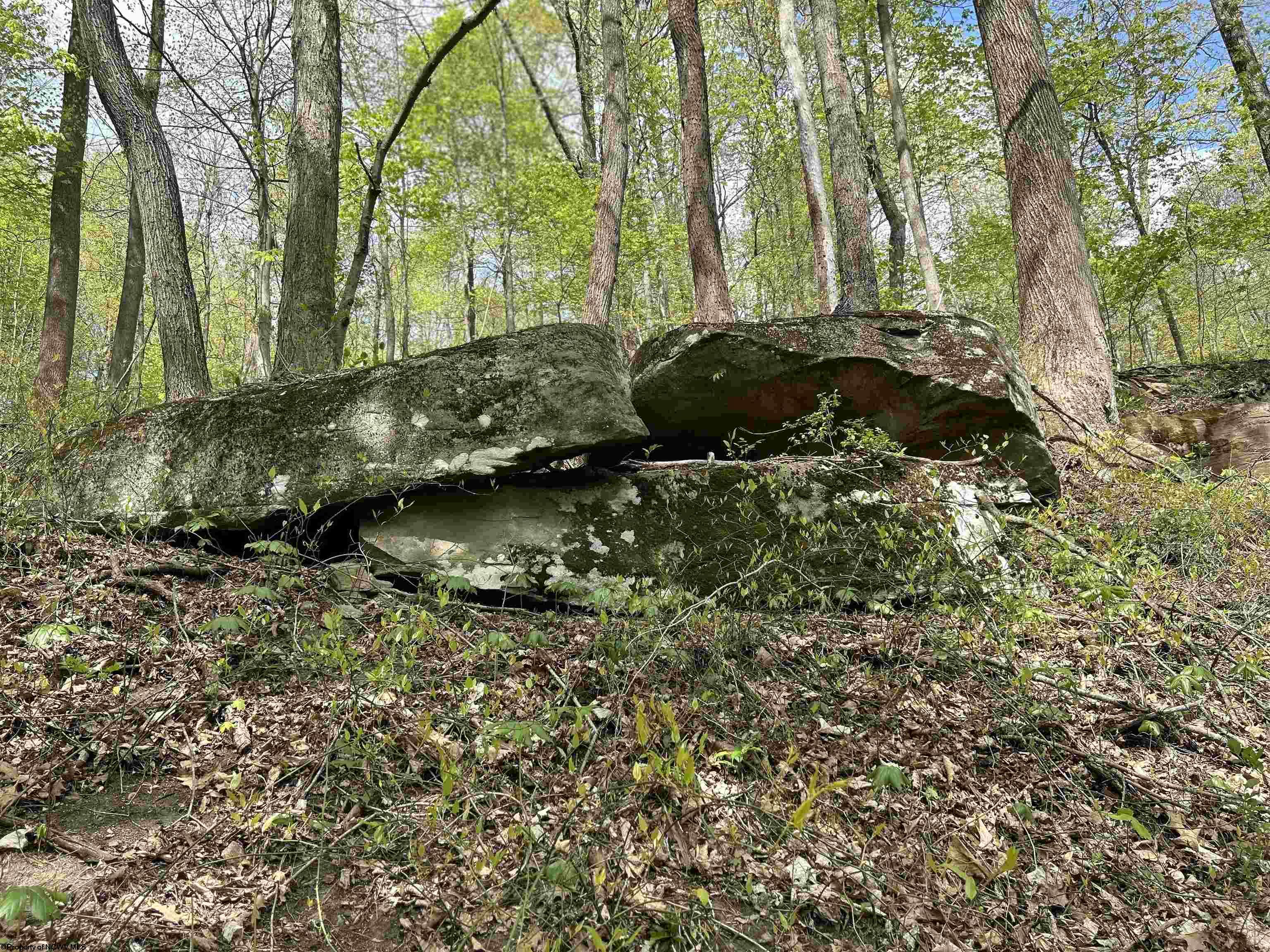 Gallery Image 12