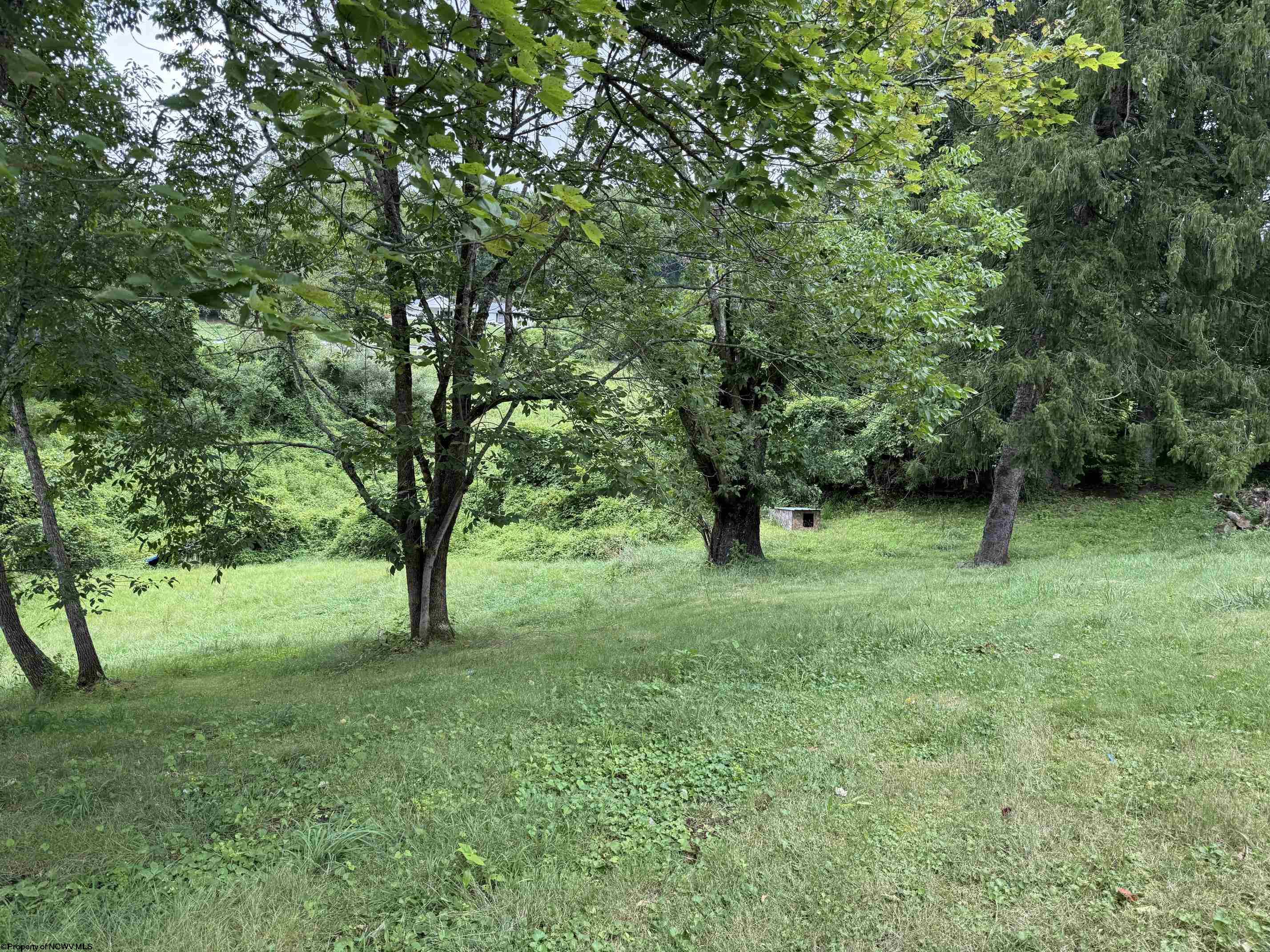Gallery Image 11