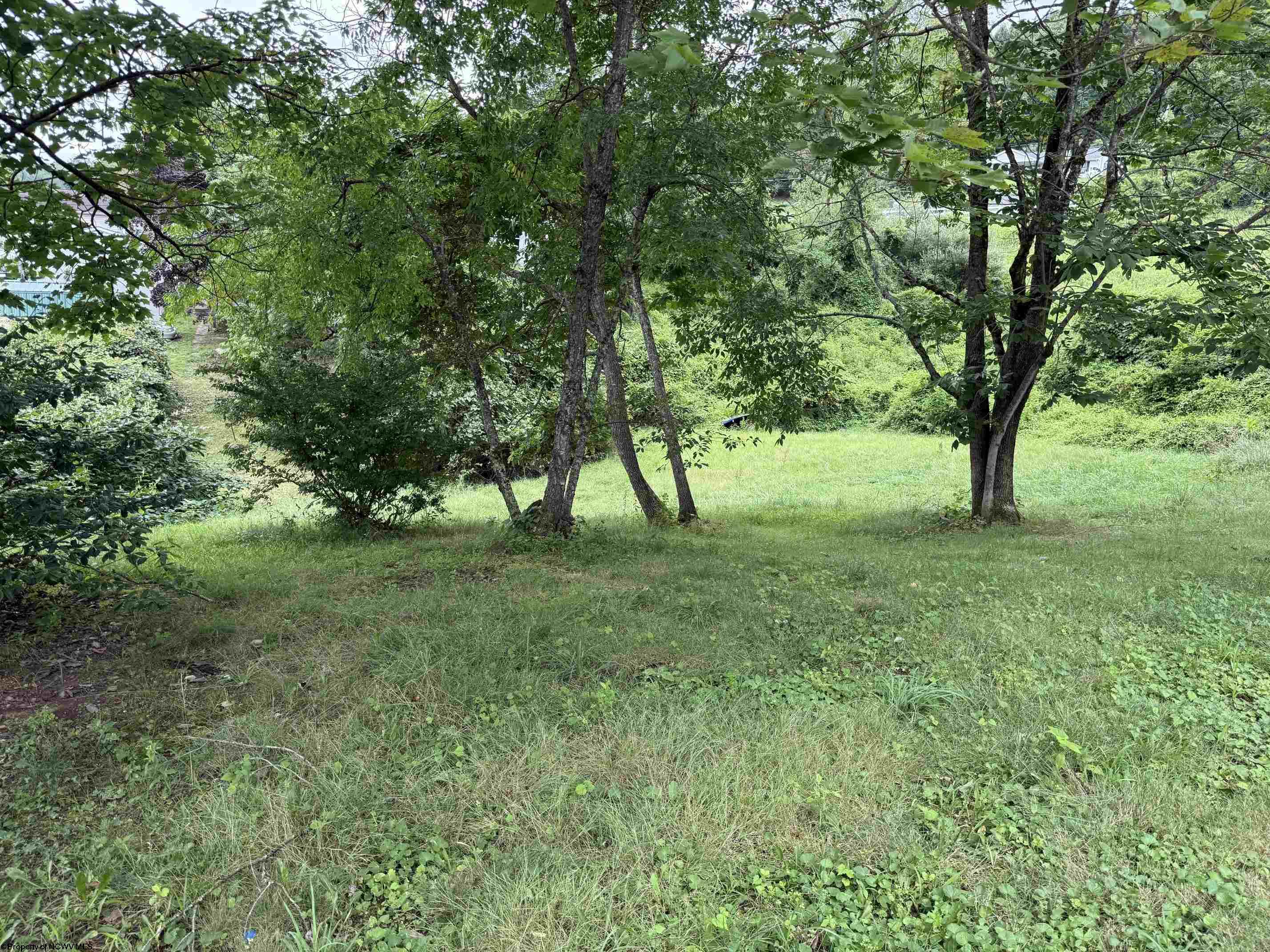 Gallery Image 12