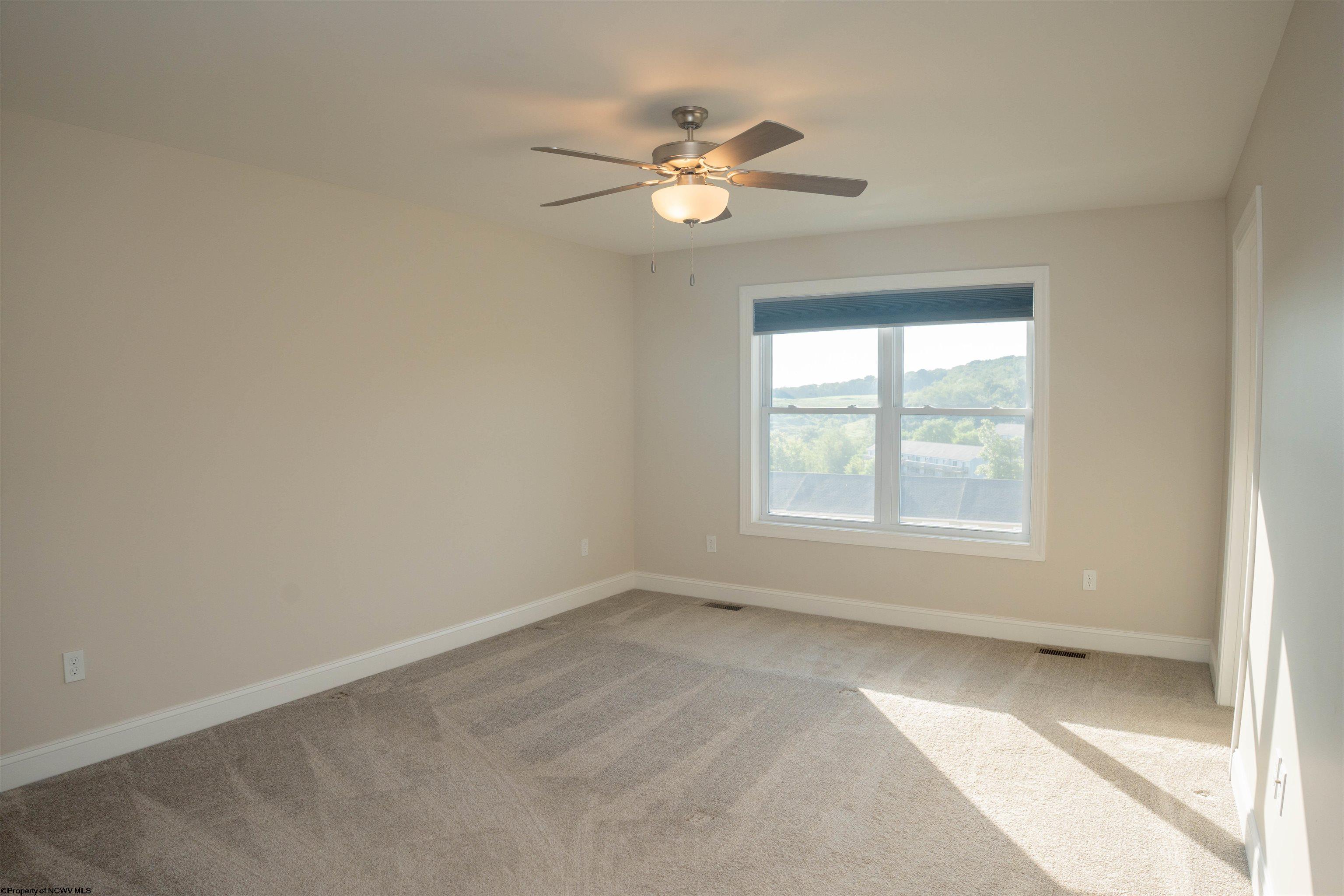Gallery Image 19