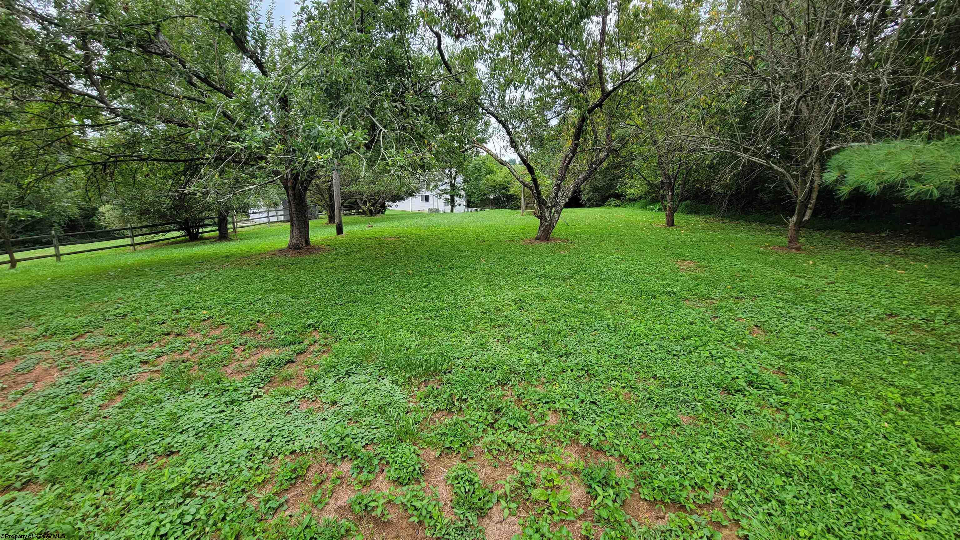Gallery Image 11