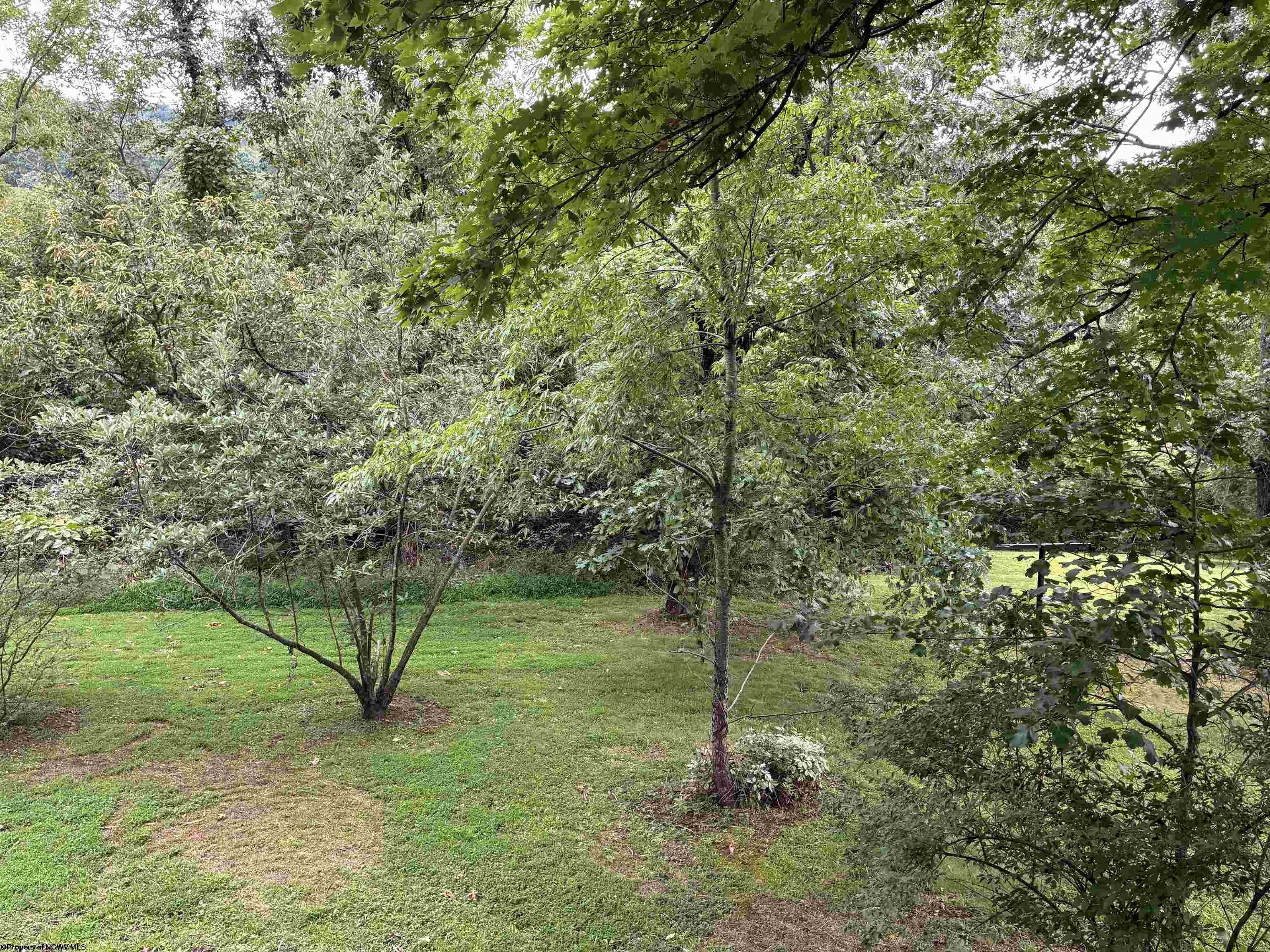 Gallery Image 14