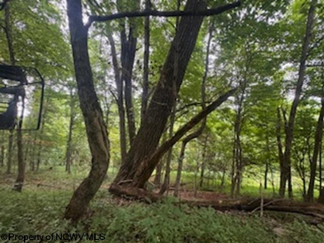 Gallery Image 37