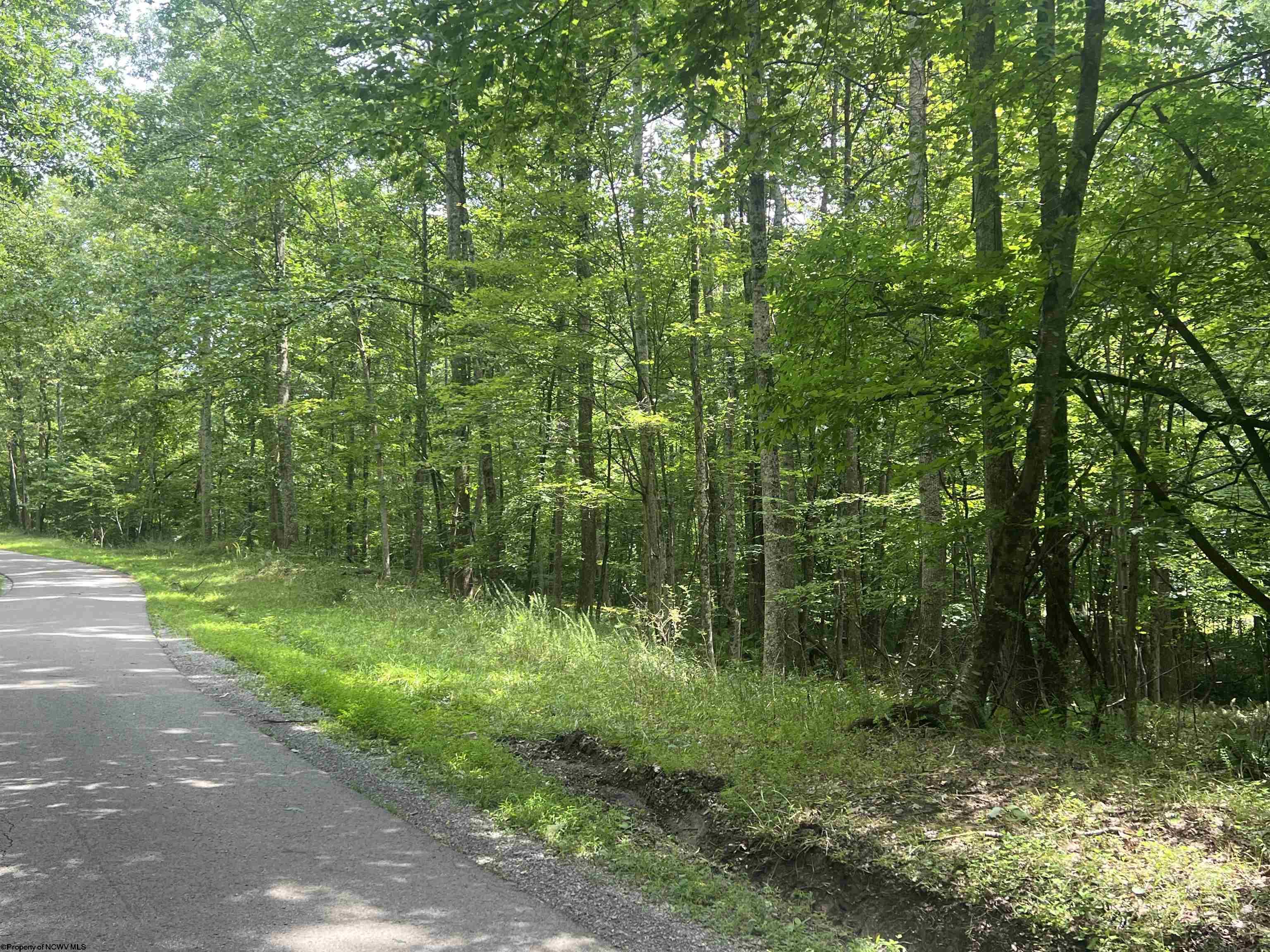 Gallery Image 8