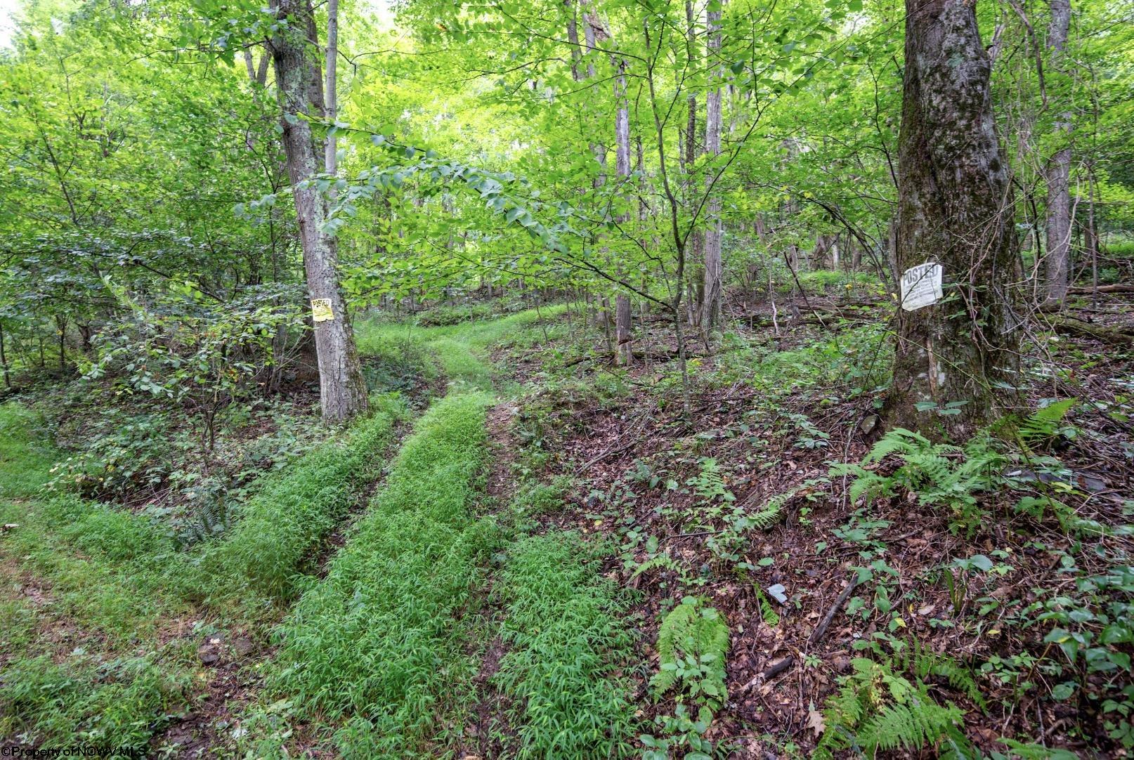 Gallery Image 14