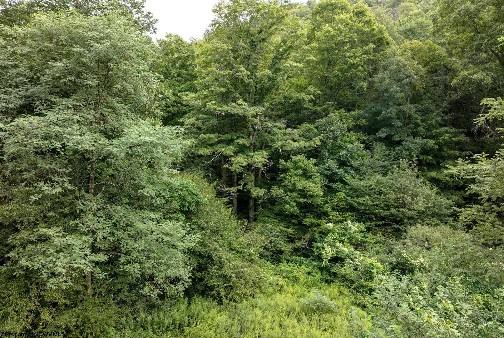 Gallery Image 24