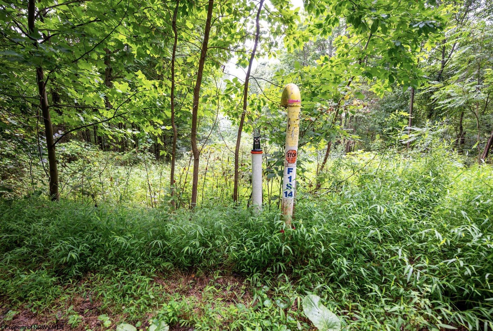 Gallery Image 42