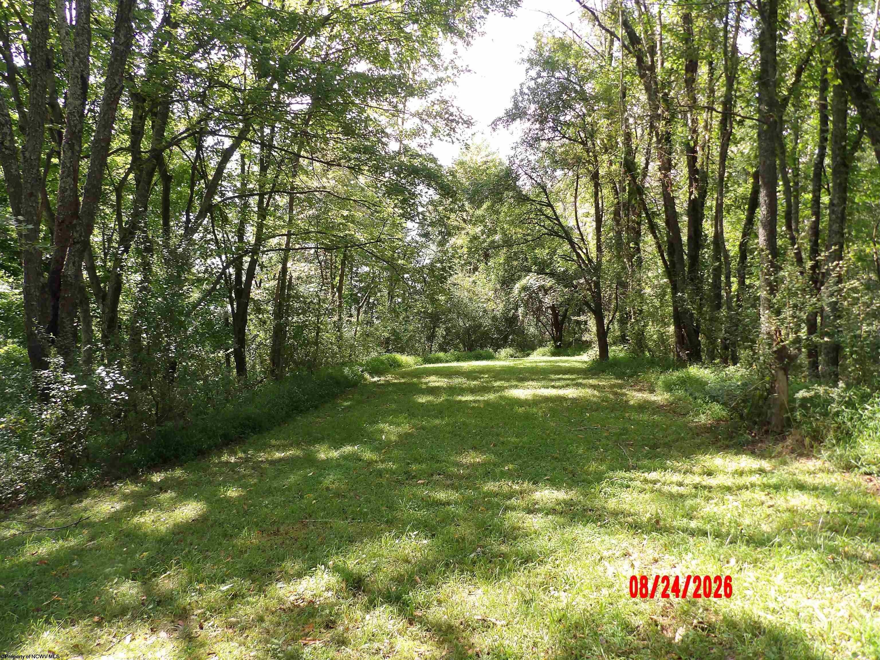 Gallery Image 17
