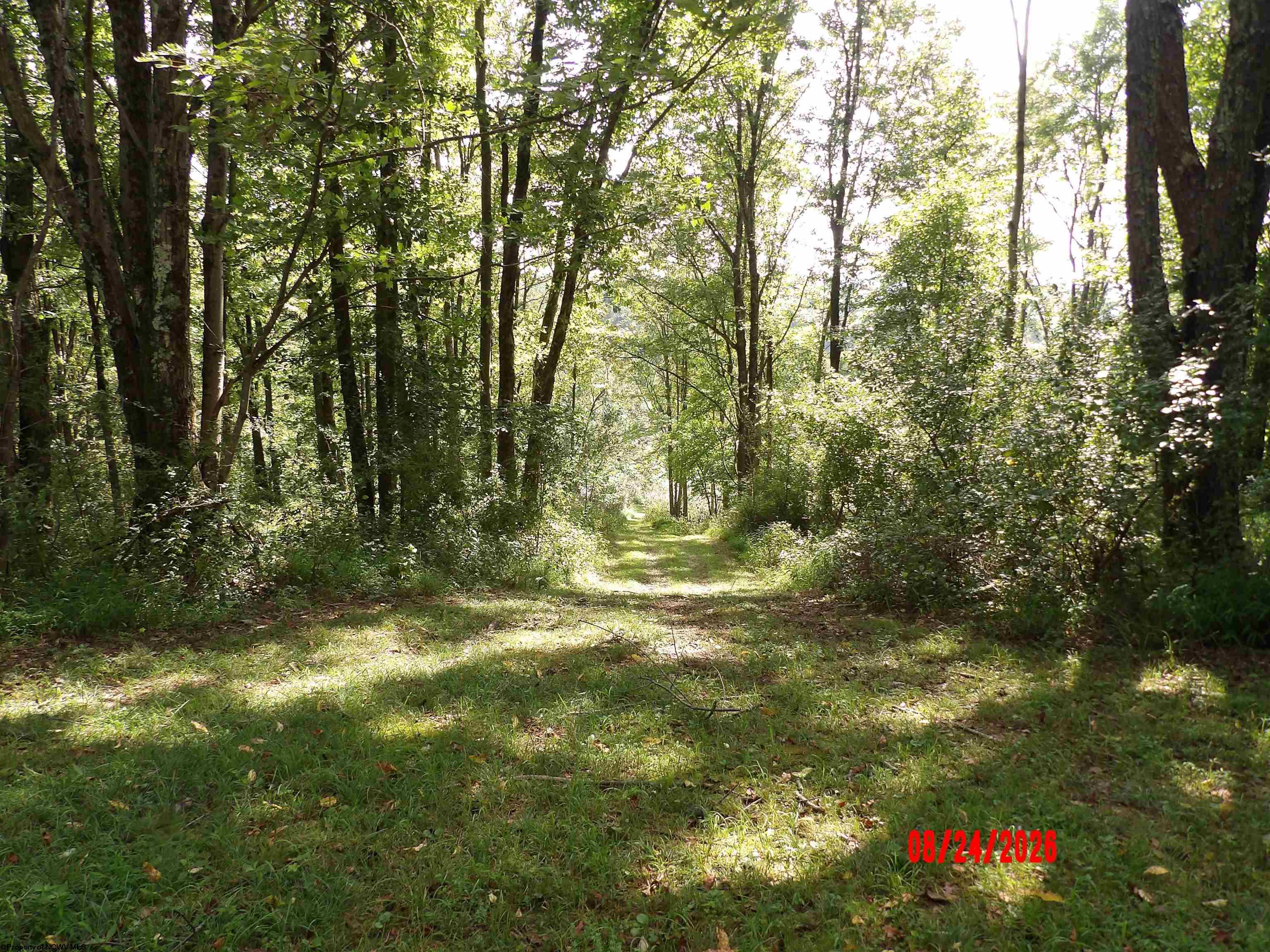 Gallery Image 19