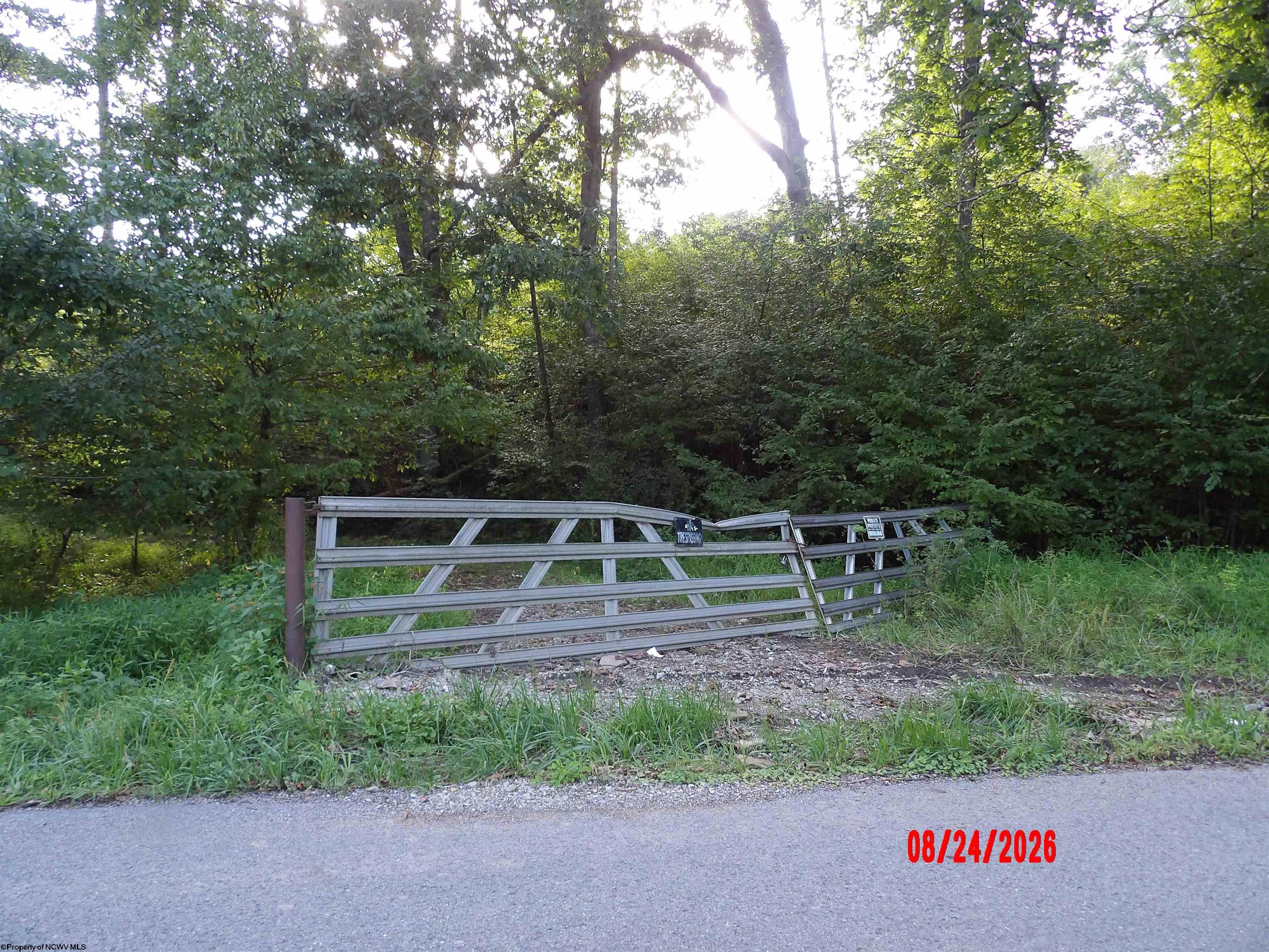 Gallery Image 27