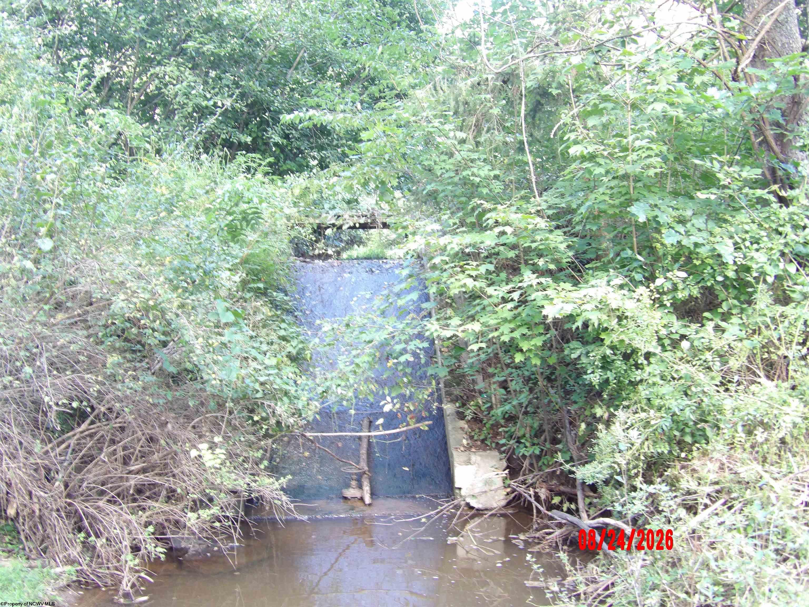 Gallery Image 29