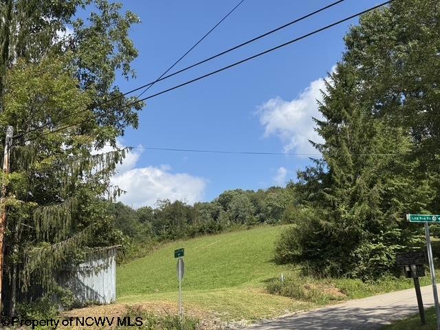 Gallery Image 40