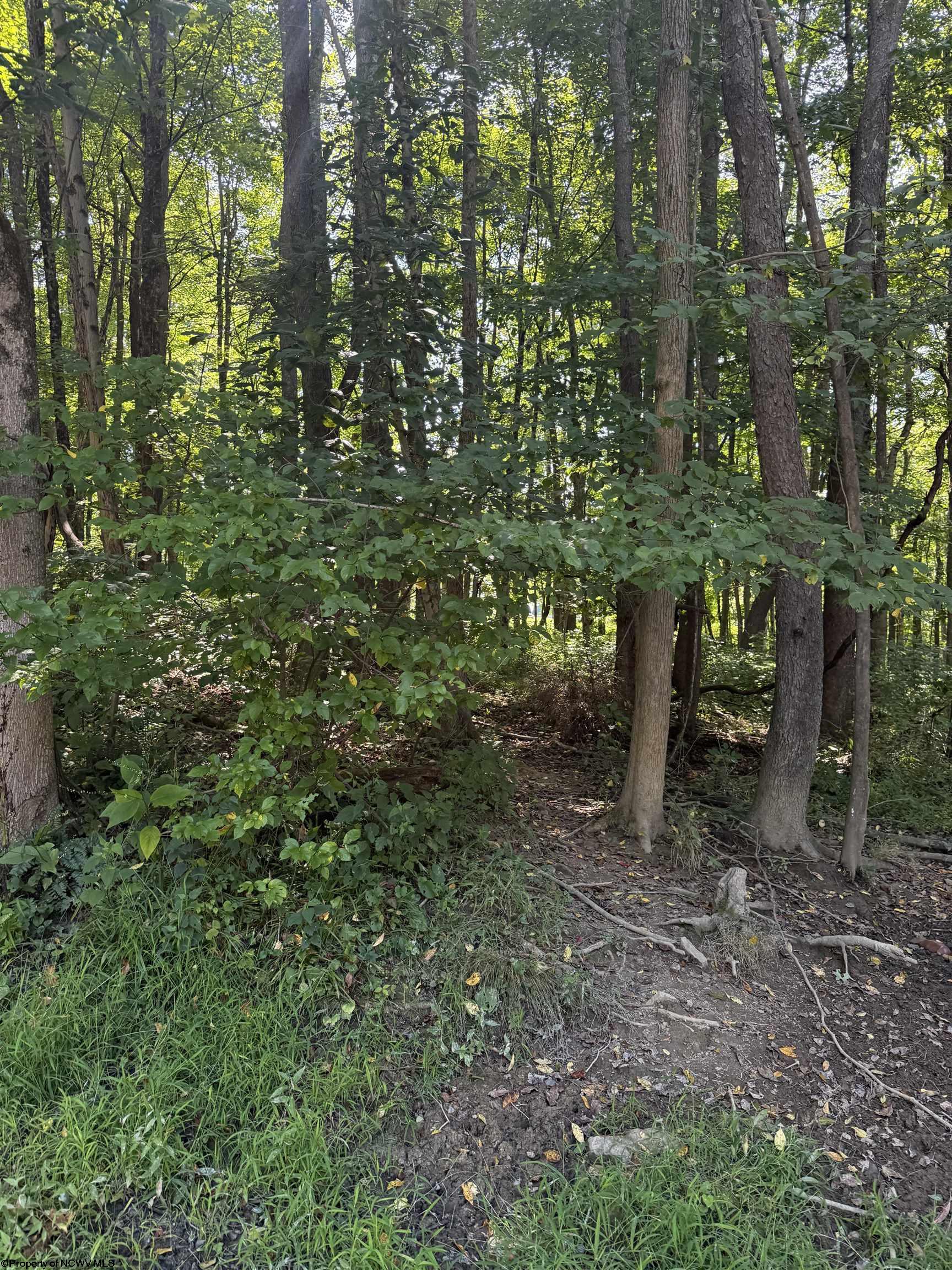 Gallery Image 11