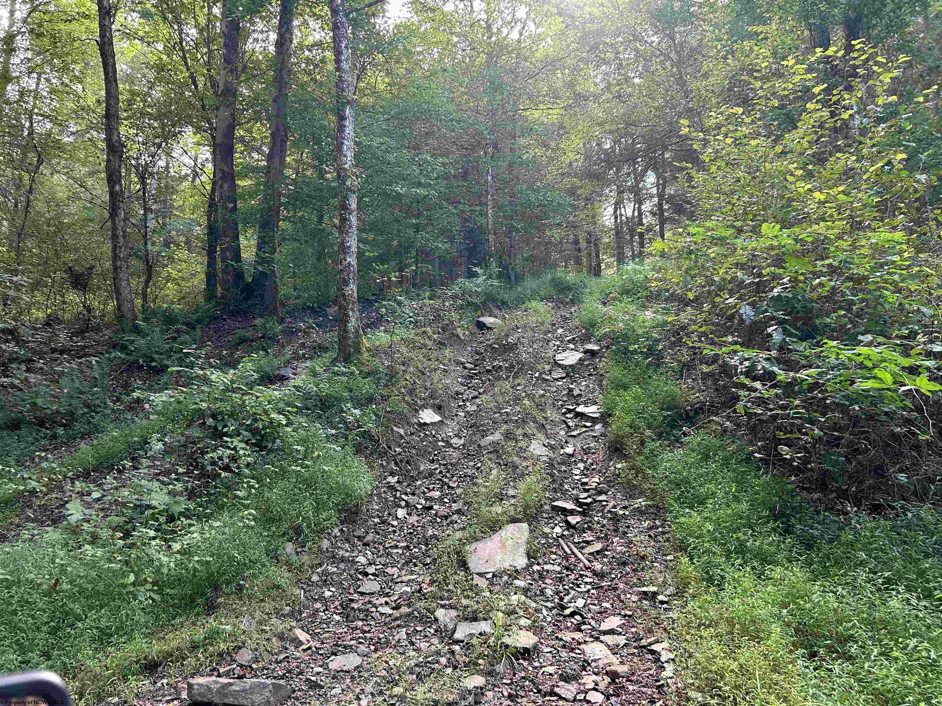 Gallery Image 9