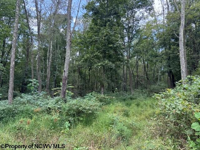 Gallery Image 14