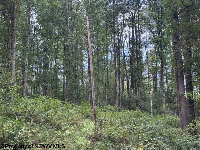 Gallery Image 16