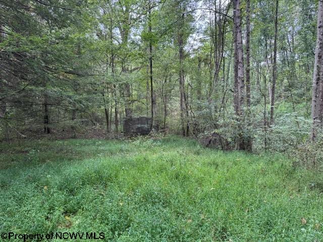 Gallery Image 17