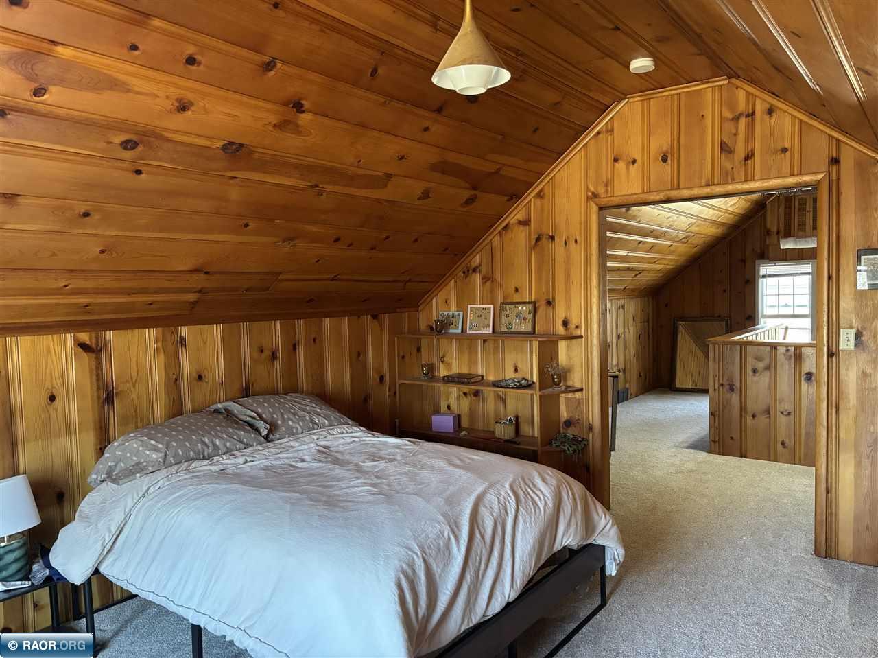 910 Minnesota Street, Hibbing, MN 55746 Listing Photo  12