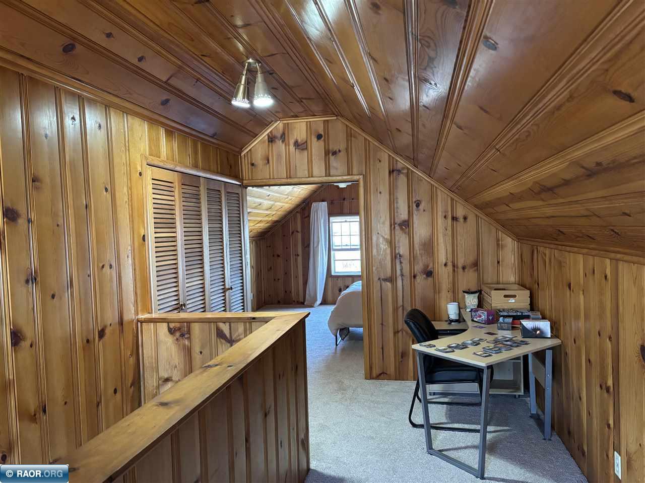 910 Minnesota Street, Hibbing, MN 55746 Listing Photo  10