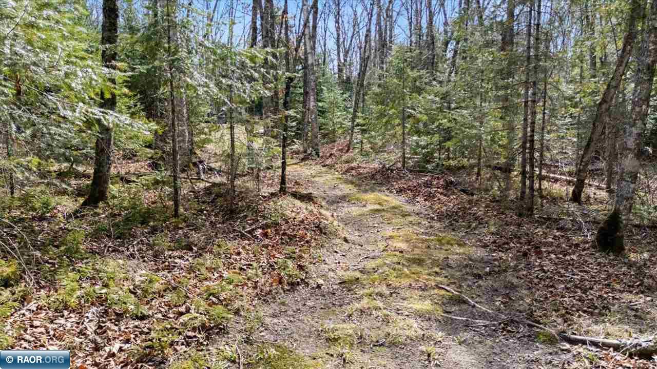 12849 Beauty Mountain Rd