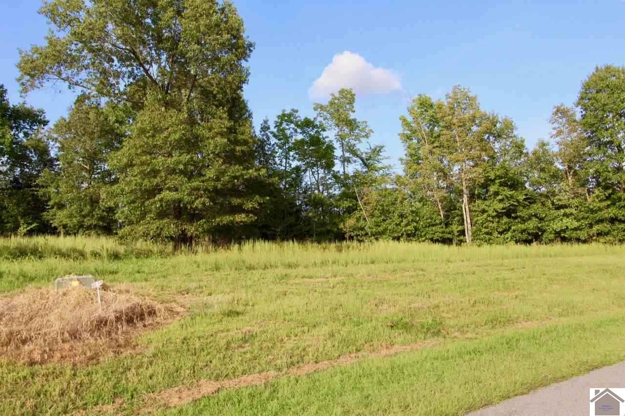Lot 83 Kelsey Jo, Eddyville, KY 42038 Listing Photo  2