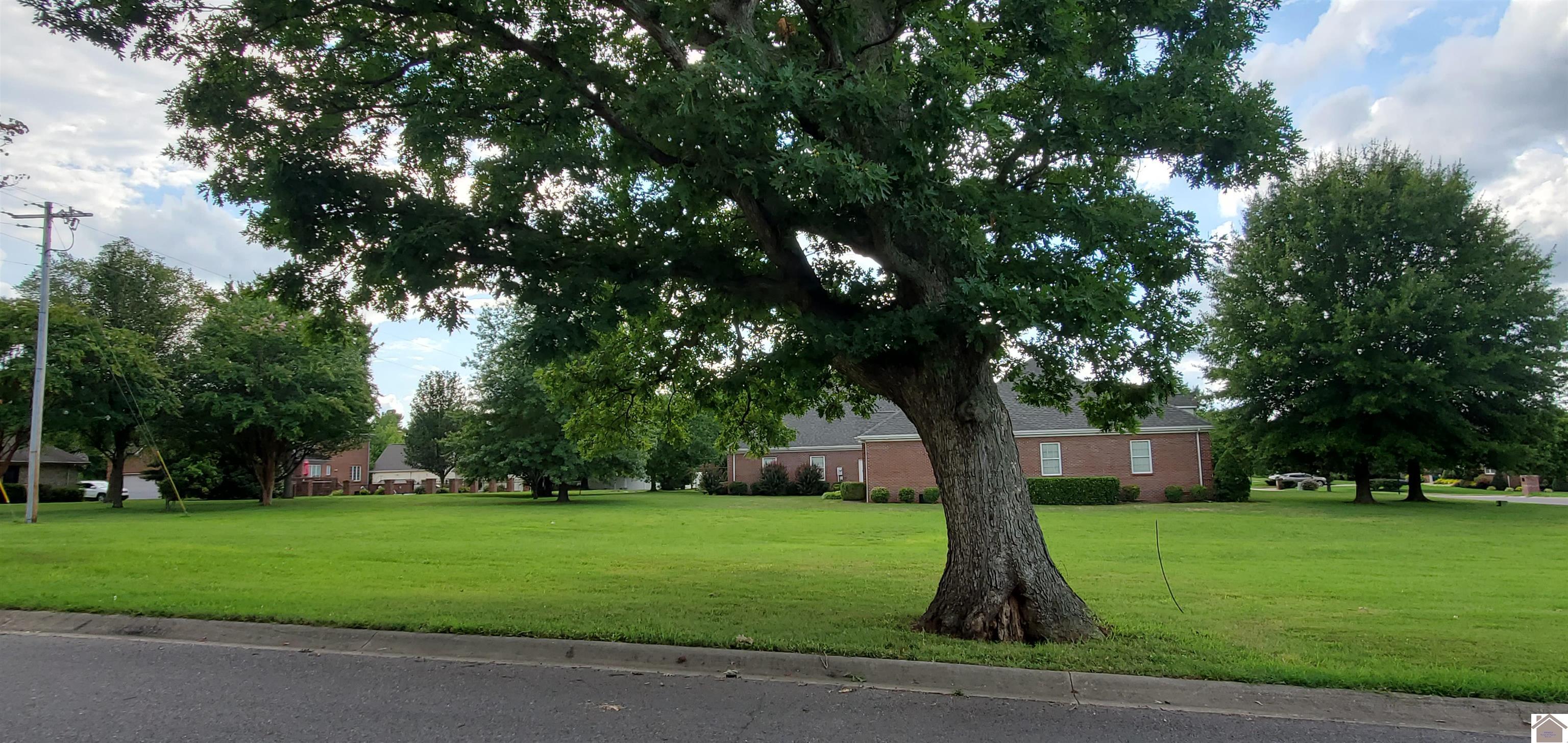 Lot 2 Willow Lake Drive, Paducah, KY 42003 Listing Photo  5