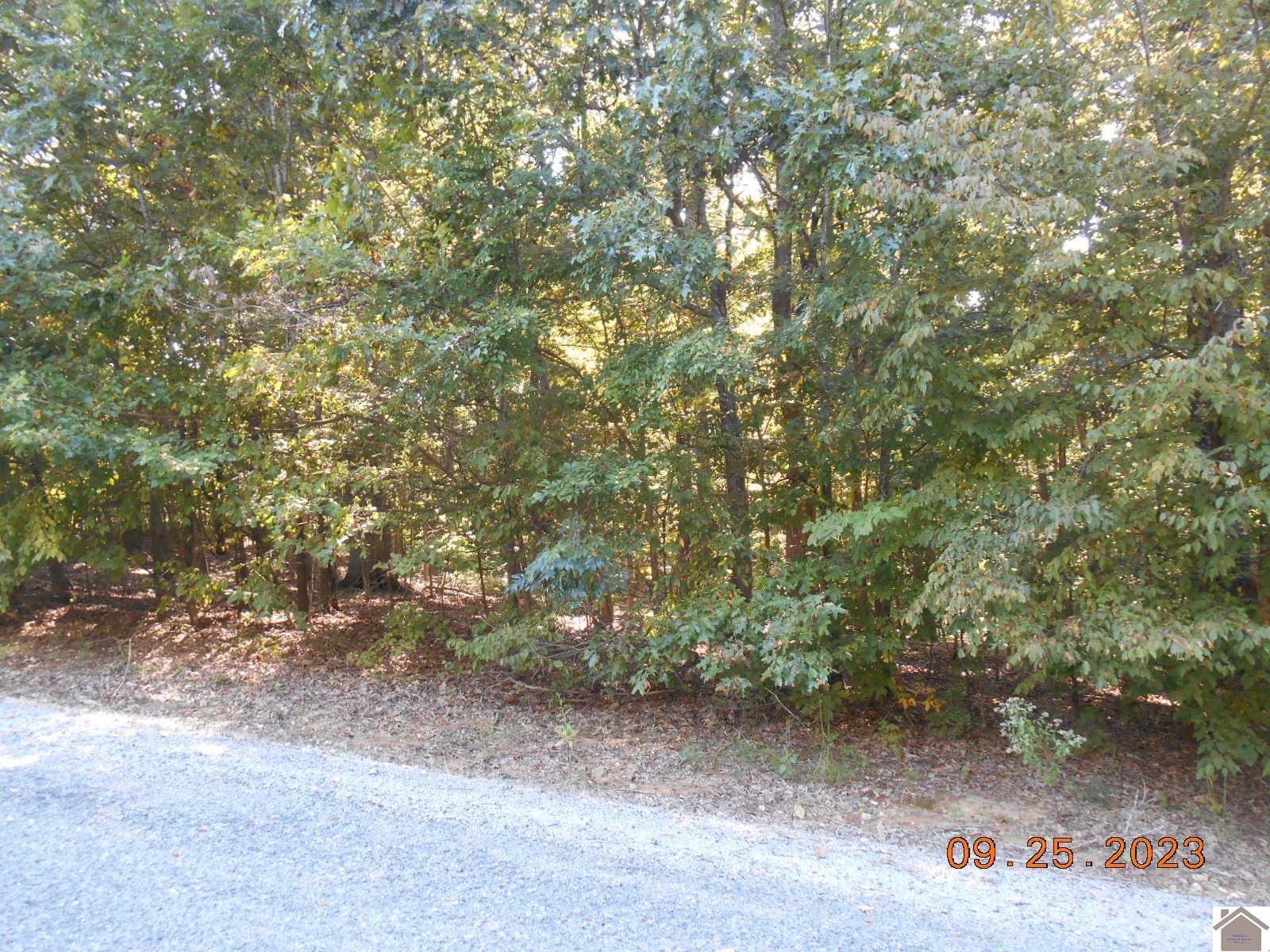 Rivers End Court, Cadiz, KY 42211 Listing Photo  1