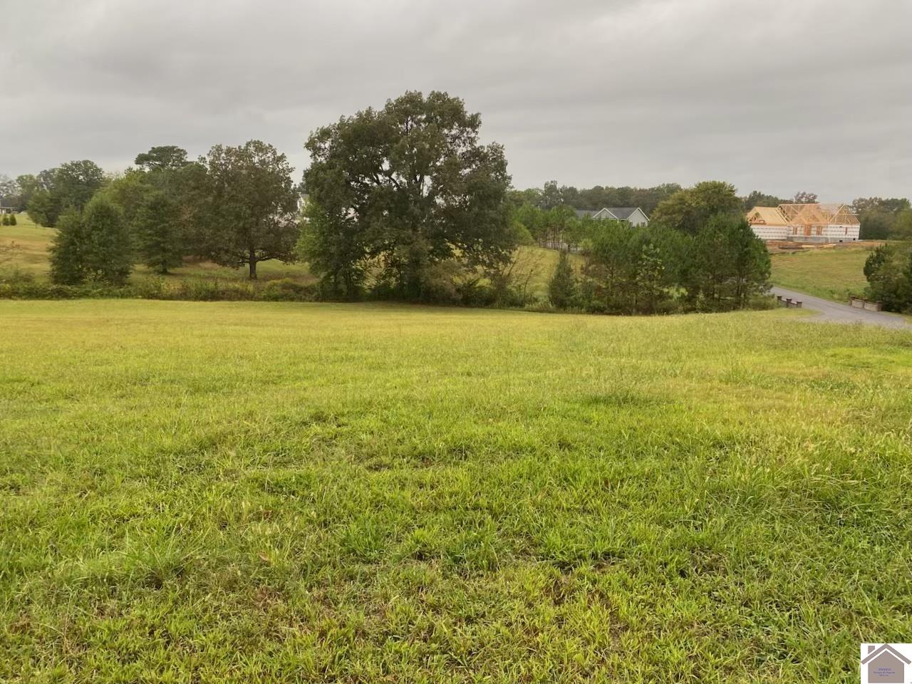 lot 3 Commadore, Benton, KY 42025 Listing Photo  2