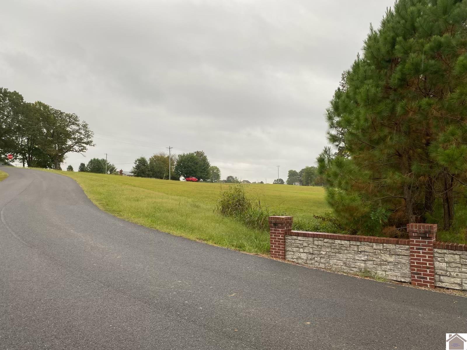 lot 3 Commadore, Benton, KY 42025 Listing Photo  3