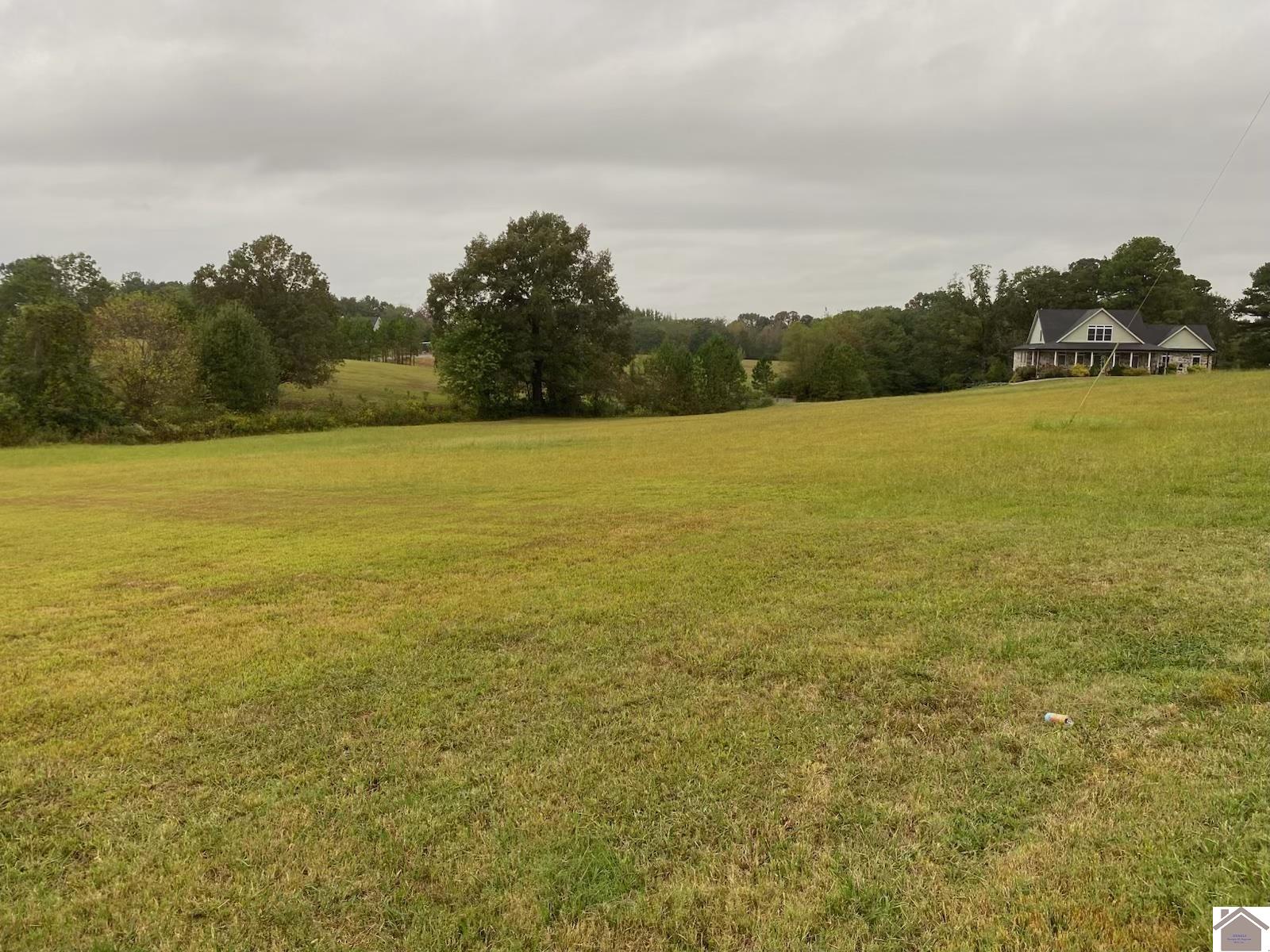lot 3 Commadore, Benton, KY 42025 Listing Photo  6
