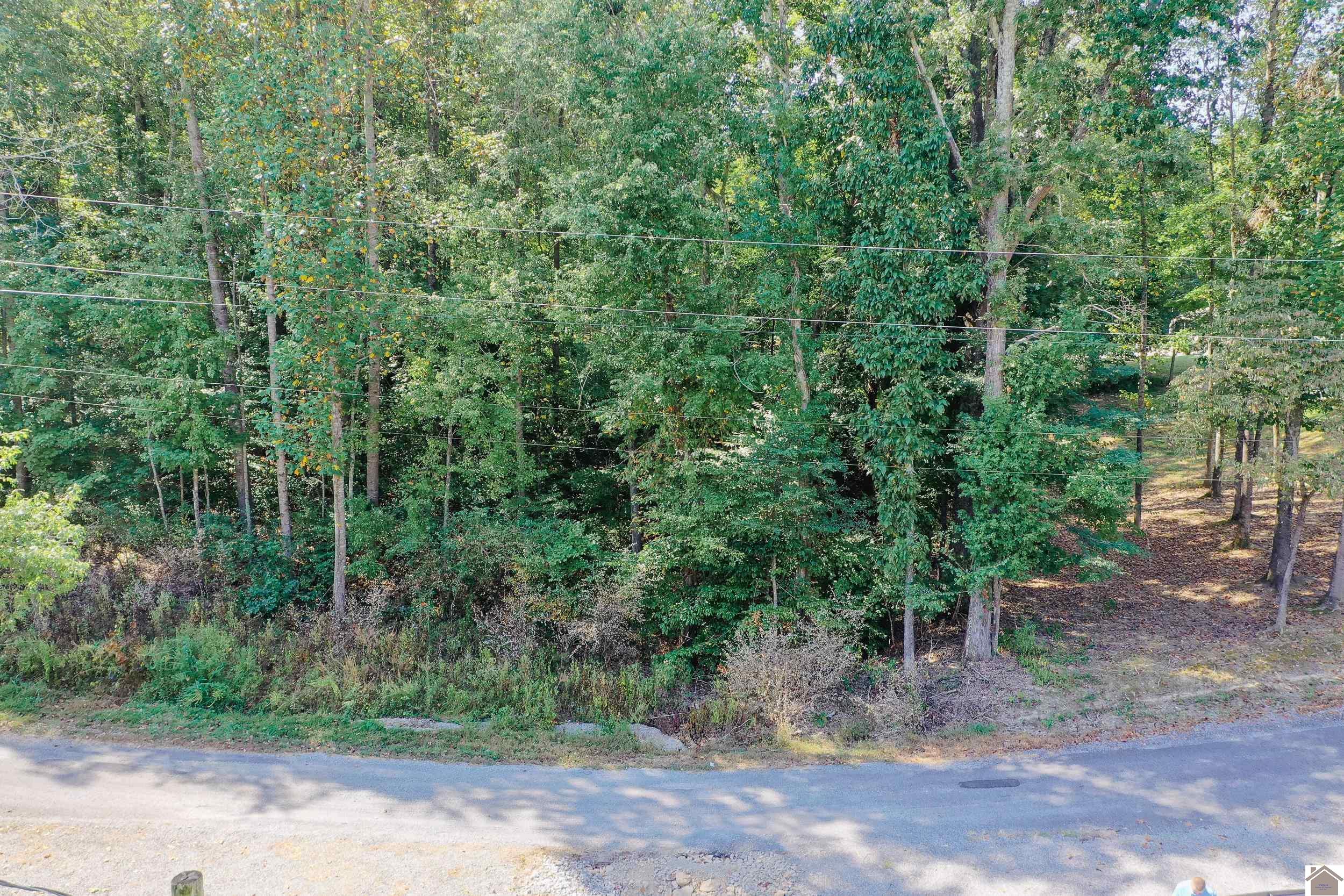 Lot 81 Rockcastle Lakeshore Dr., Cadiz, KY 42211 Listing Photo  1