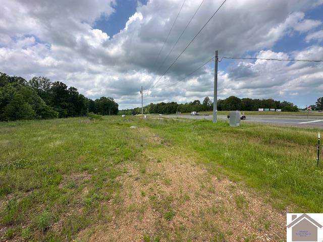 552 Toy York Rd, Benton, KY 42025 Listing Photo  1