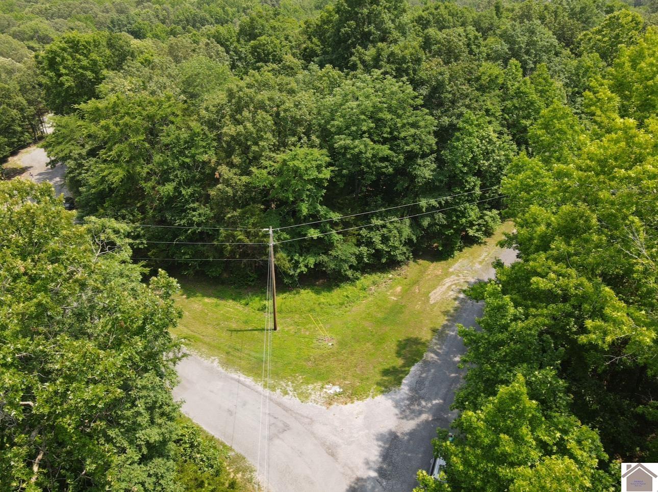 Lot 40 Mimosa Ct, Cadiz, KY 42211 Listing Photo  12