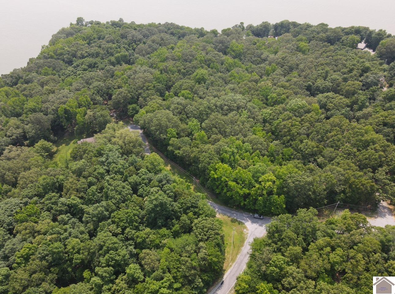 Lot 40 Mimosa Ct, Cadiz, KY 42211 Listing Photo  13