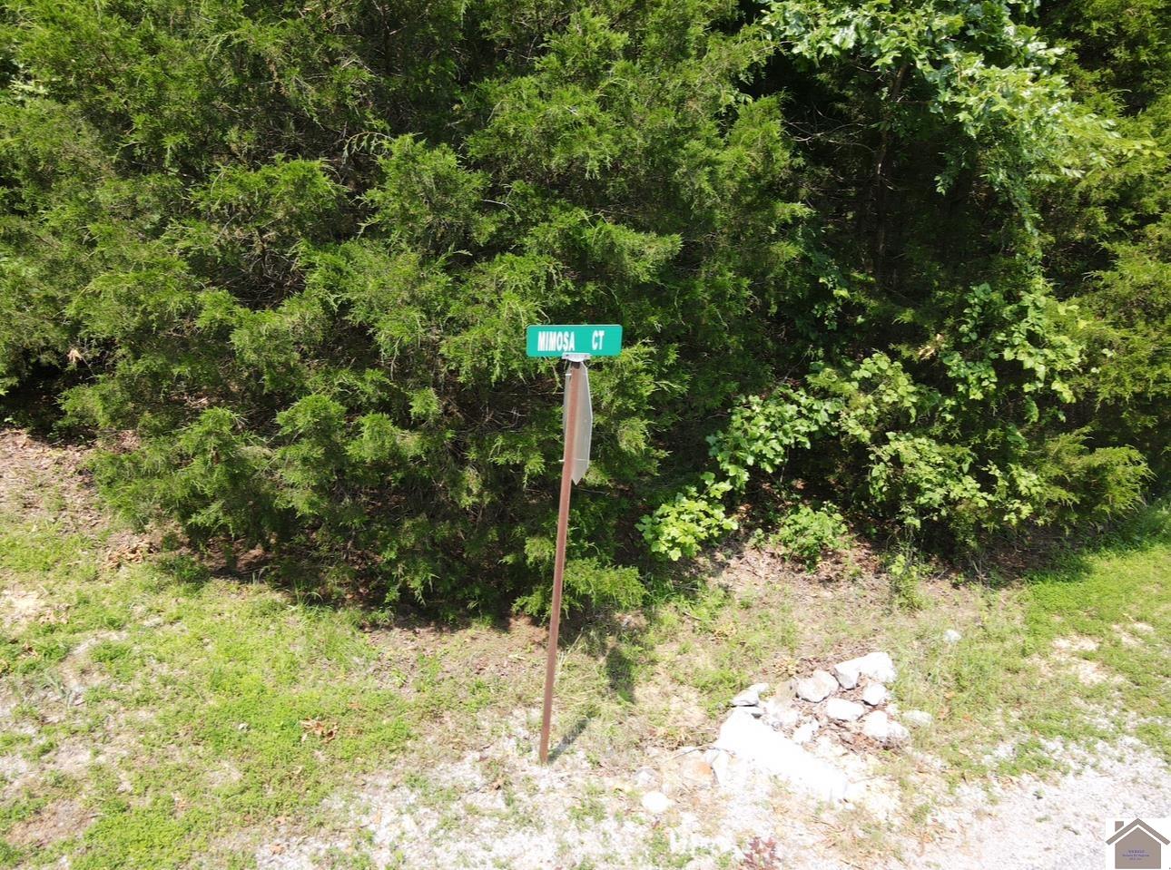 Lot 40 Mimosa Ct, Cadiz, KY 42211 Listing Photo  18