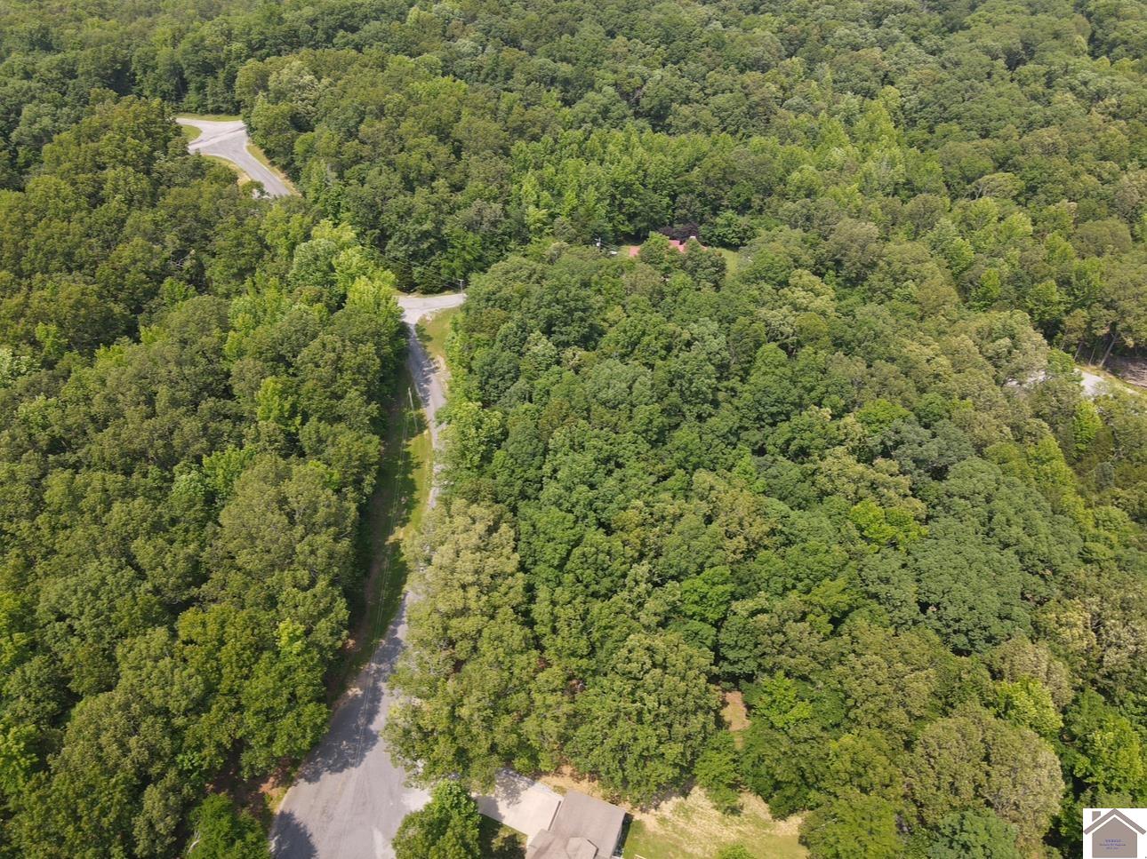 Lot 40 Mimosa Ct, Cadiz, KY 42211 Listing Photo  19