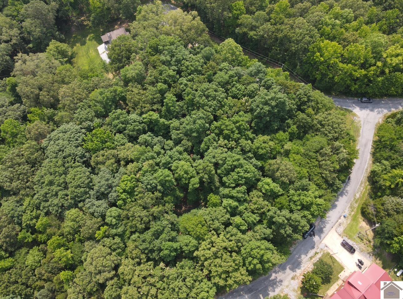 Lot 40 Mimosa Ct, Cadiz, KY 42211 Listing Photo  22