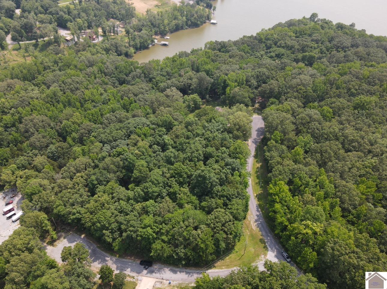 Lot 40 Mimosa Ct, Cadiz, KY 42211 Listing Photo  6
