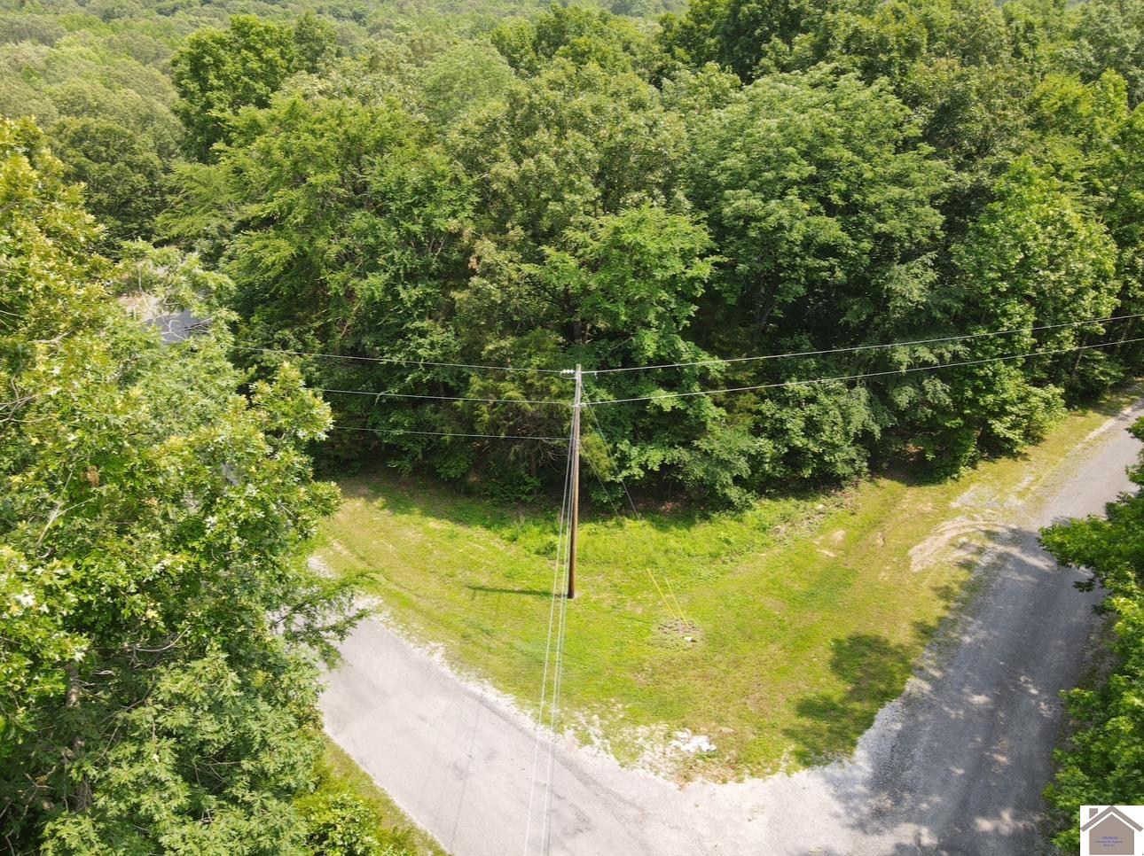 Lot 40 Mimosa Ct, Cadiz, KY 42211 Listing Photo  7