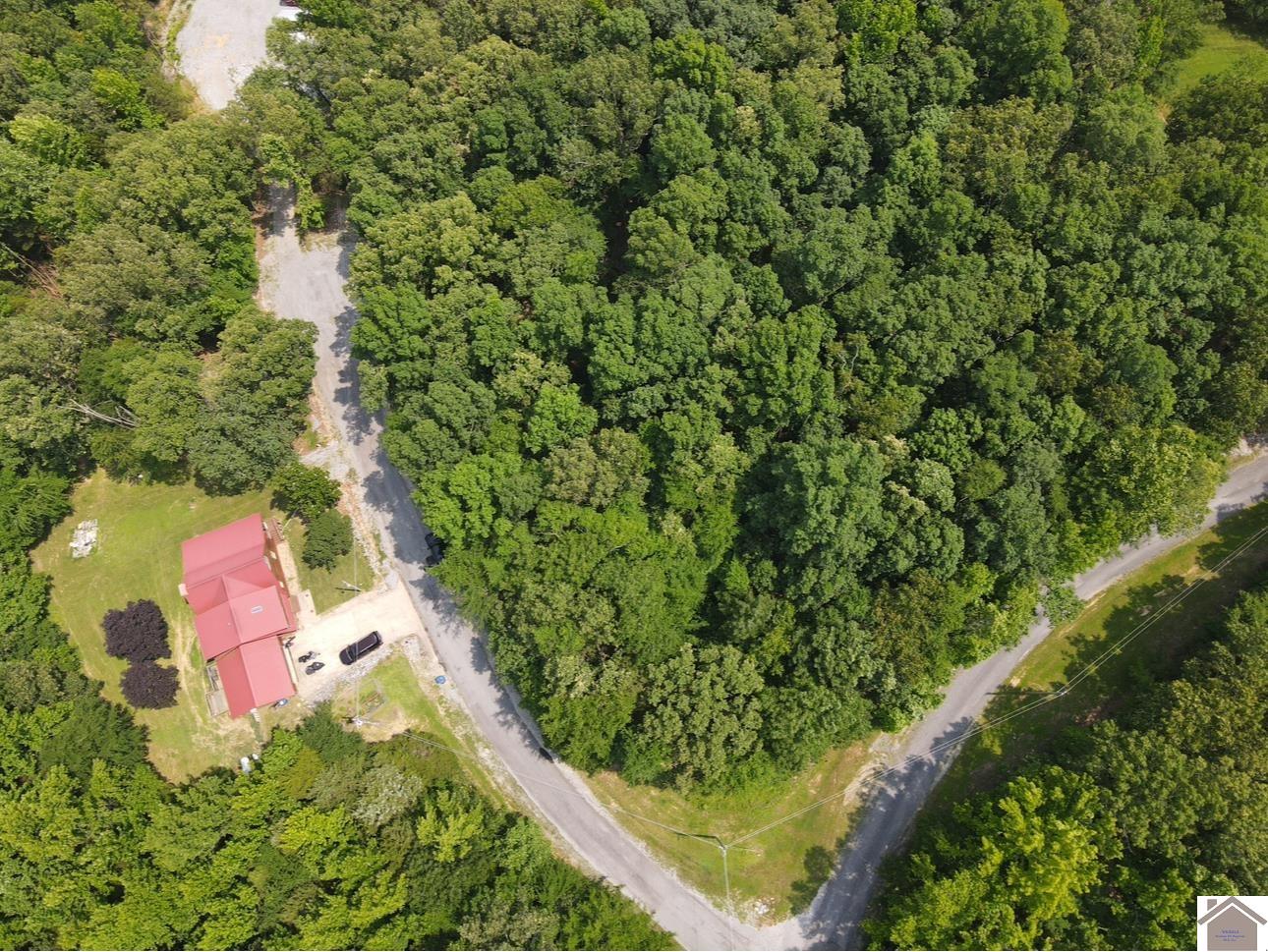 Lot 40 Mimosa Ct, Cadiz, KY 42211 Listing Photo  8