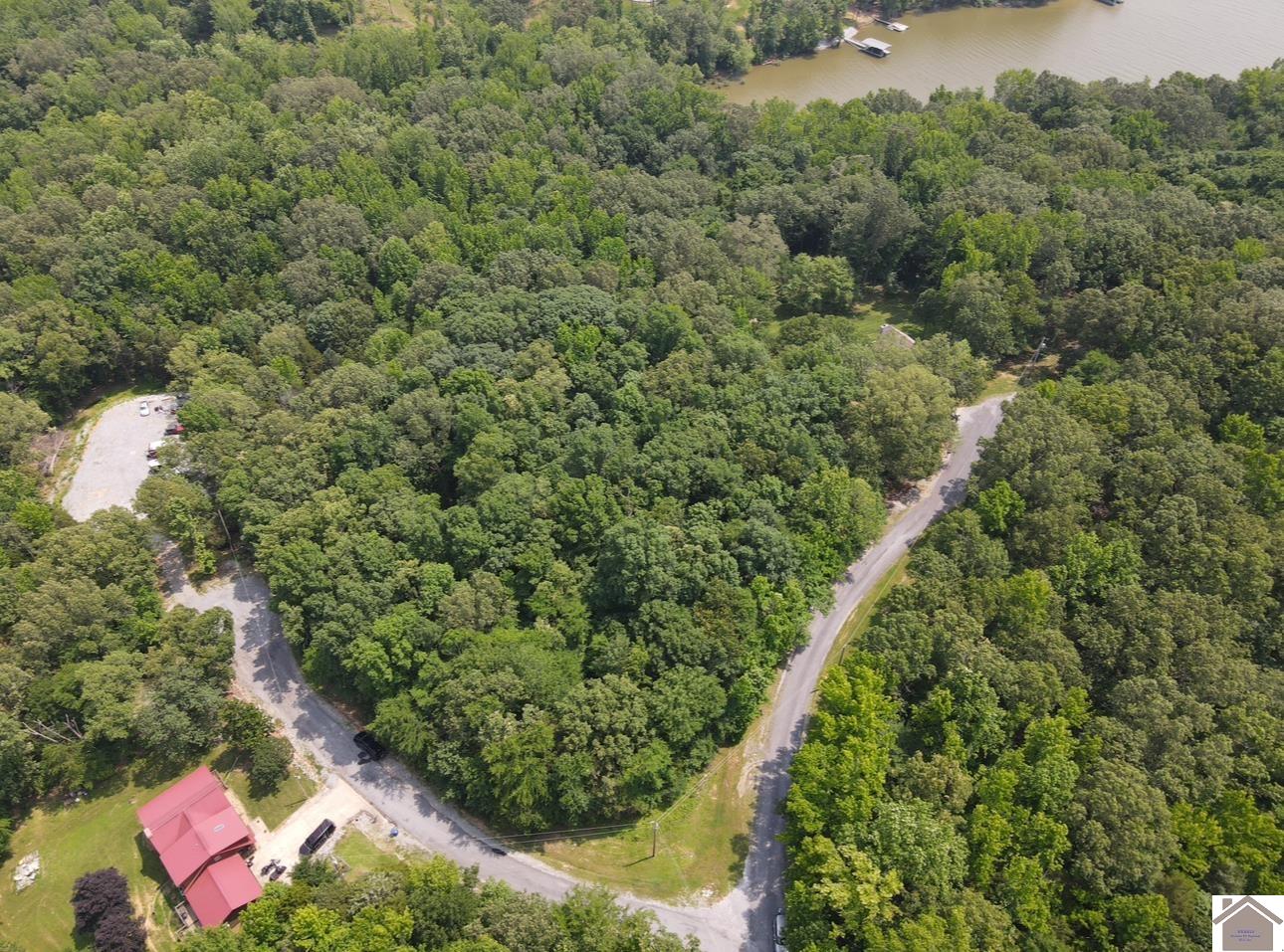 Lot 40 Mimosa Ct, Cadiz, KY 42211 Listing Photo  9